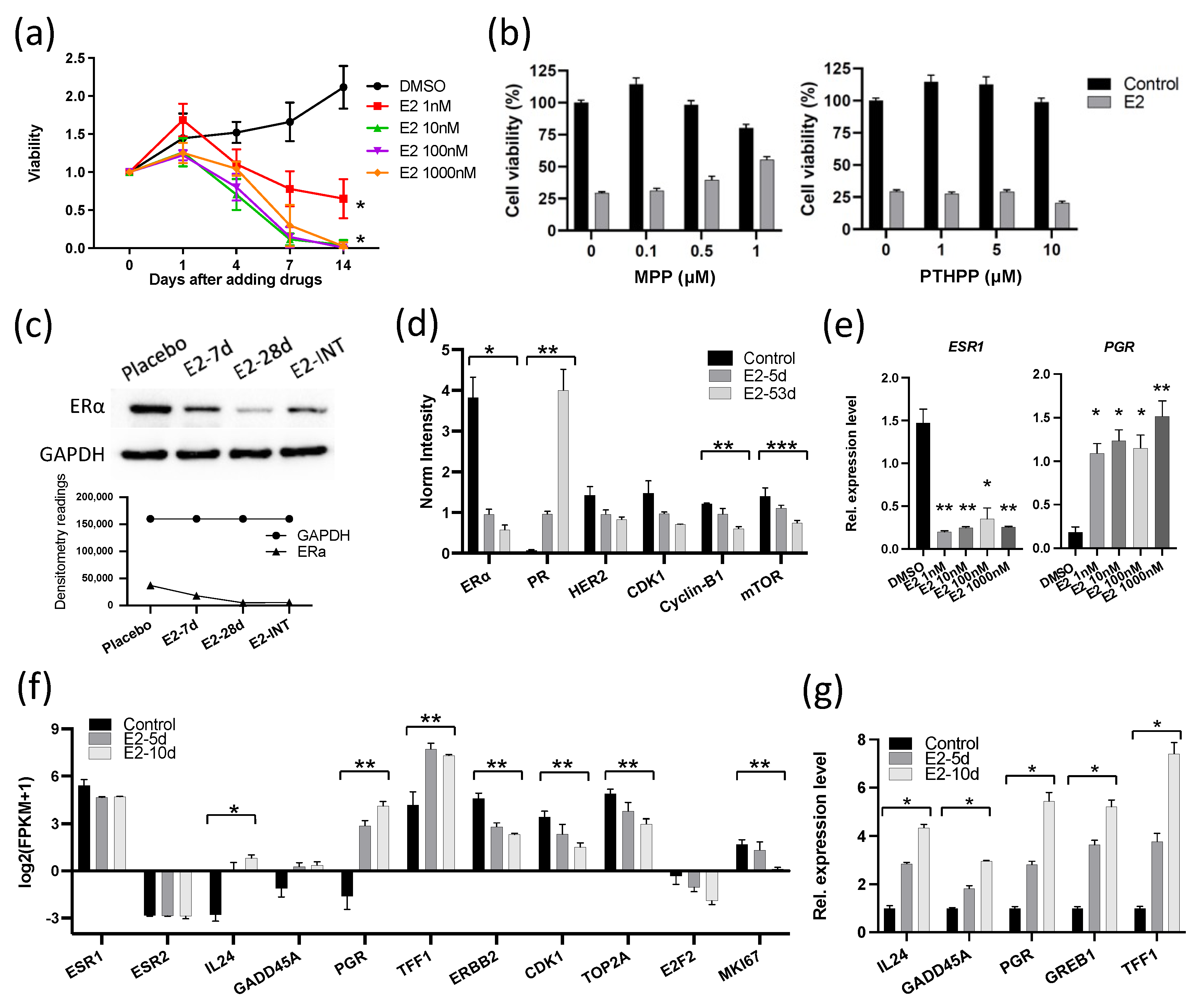 Cancers 13 06375 g002