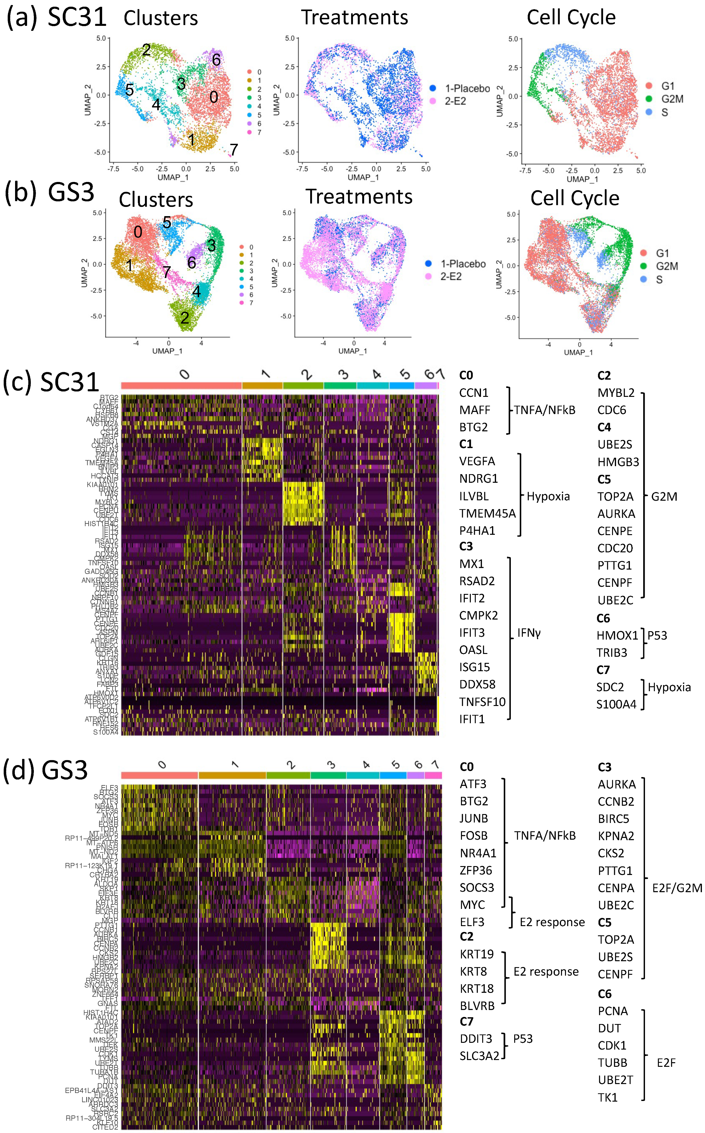 Cancers 13 06375 g003