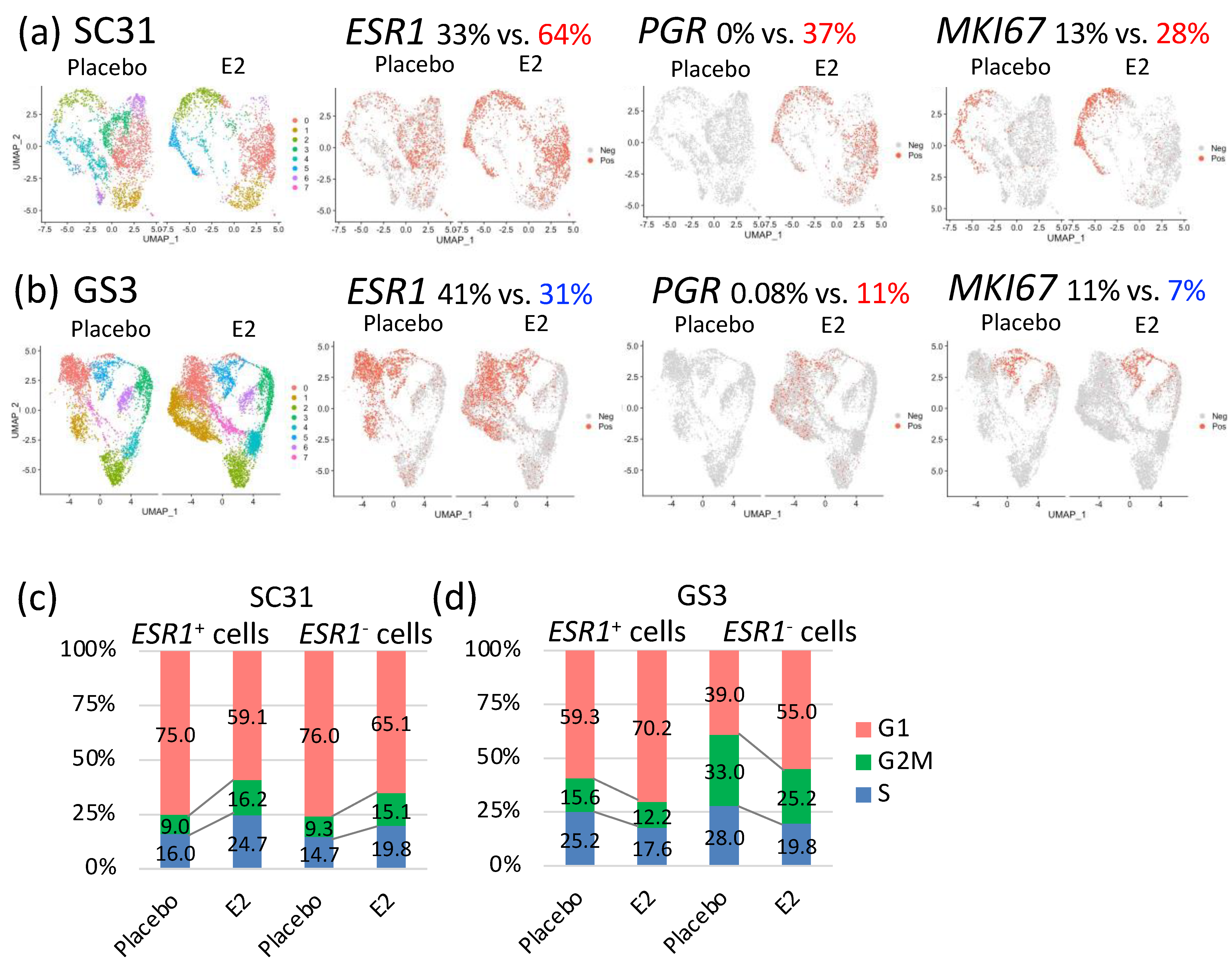 Cancers 13 06375 g004