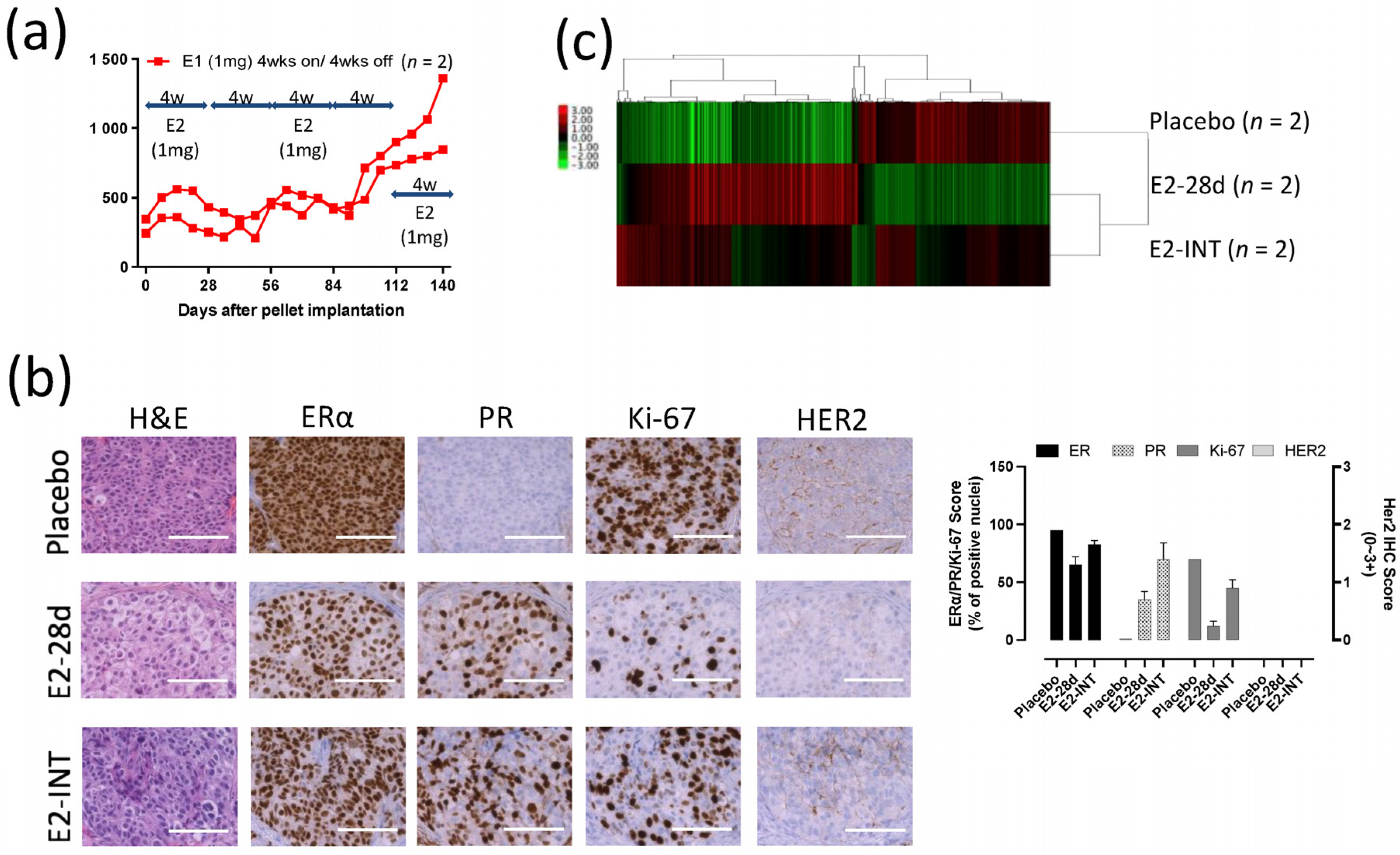 Cancers 13 06375 g006