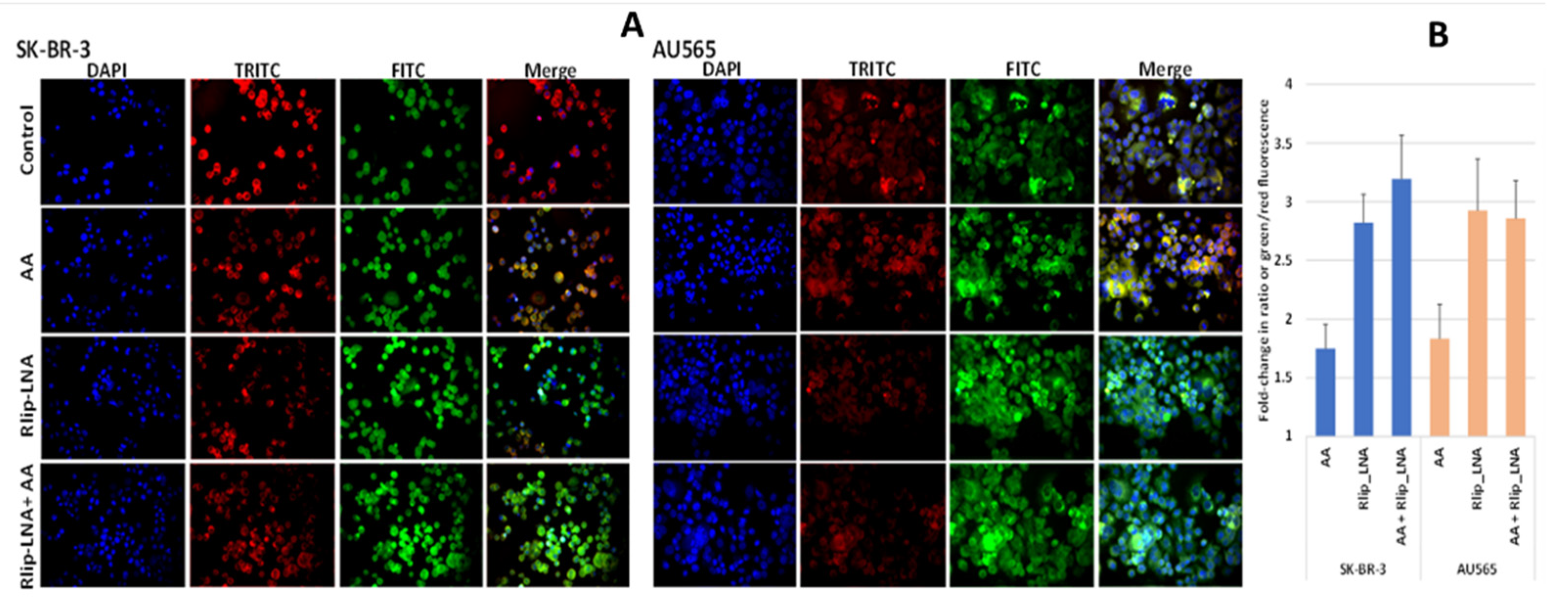Cancers 13 06377 g002