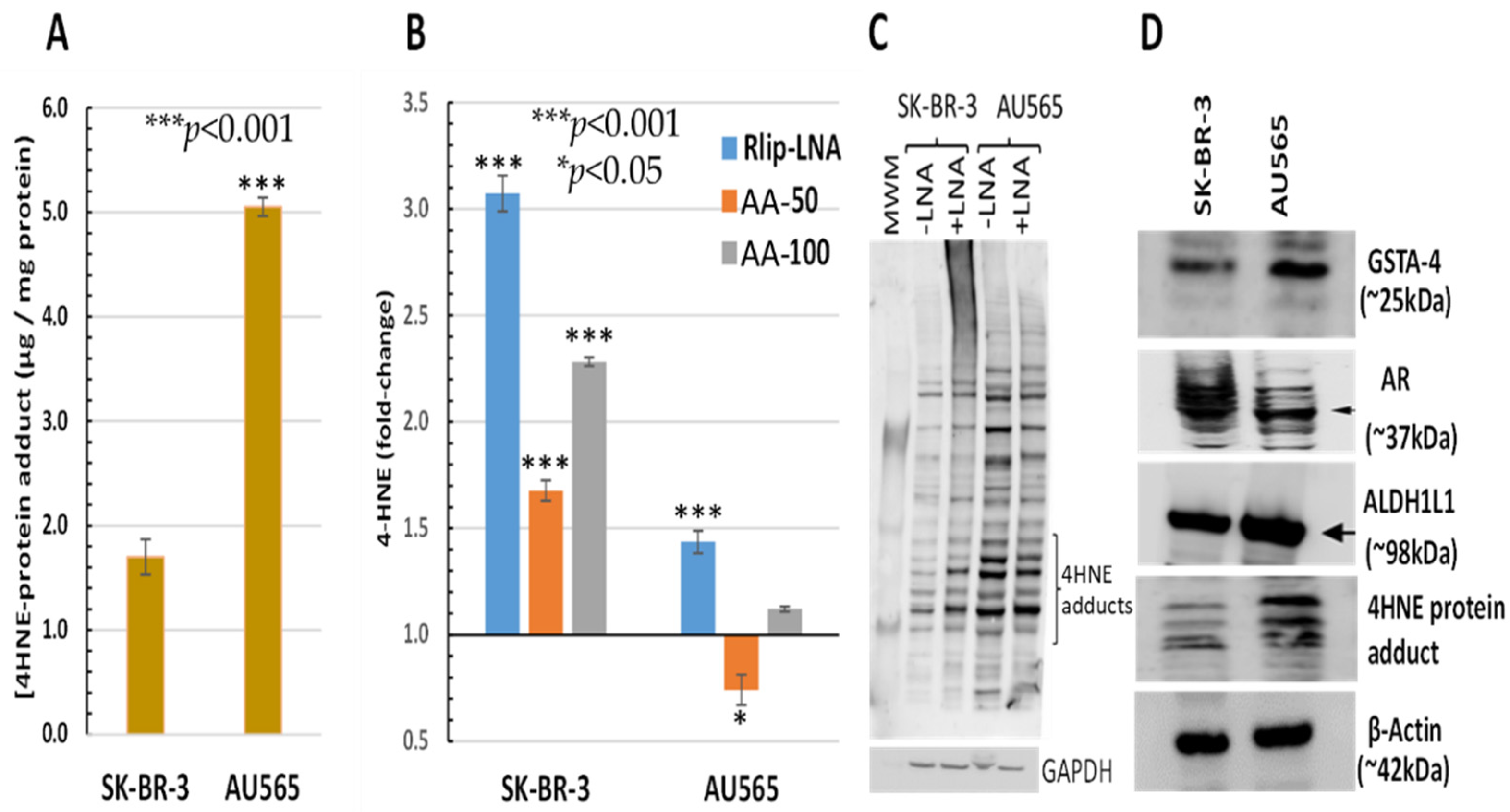Cancers 13 06377 g003