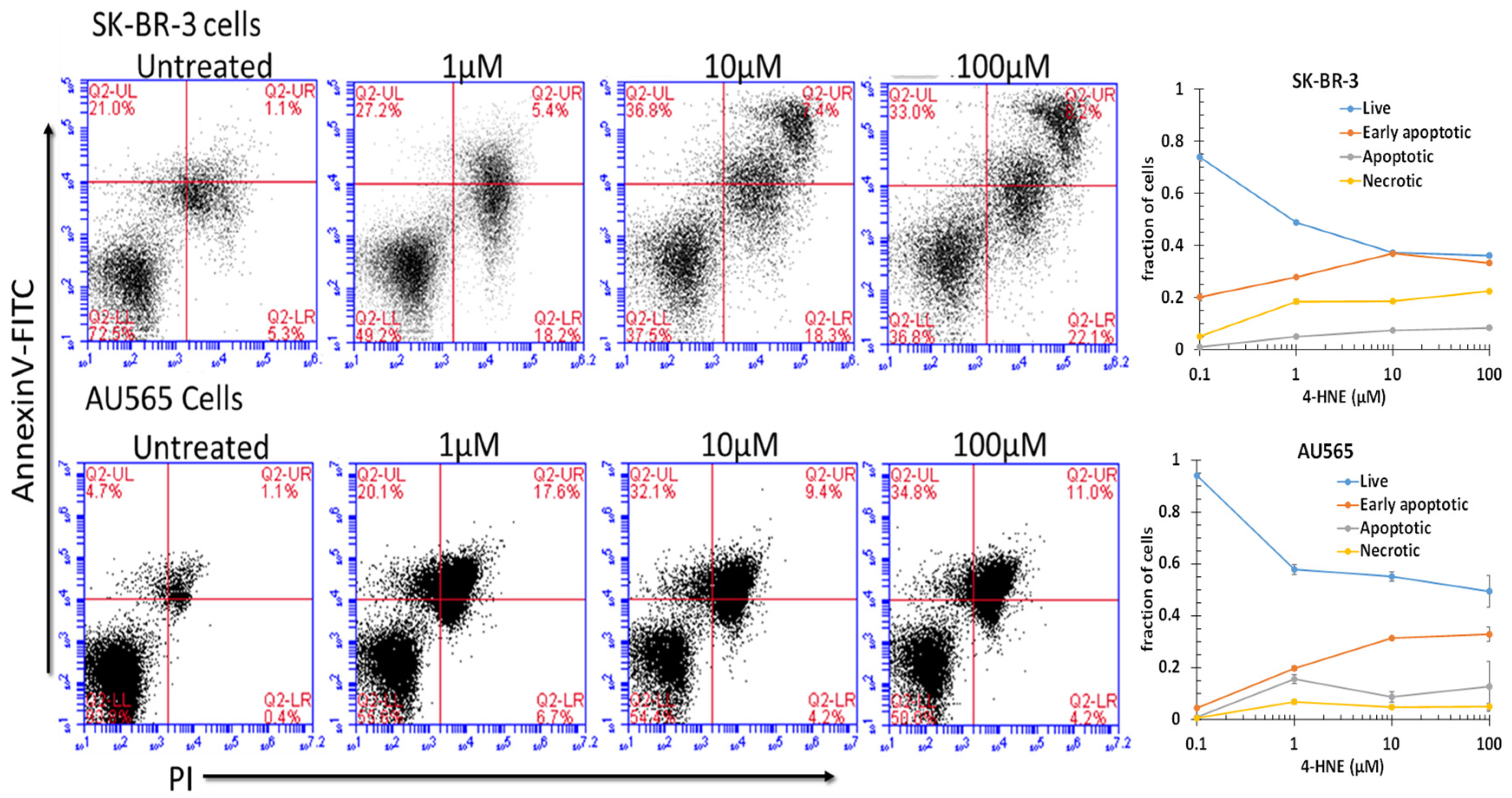 Cancers 13 06377 g004