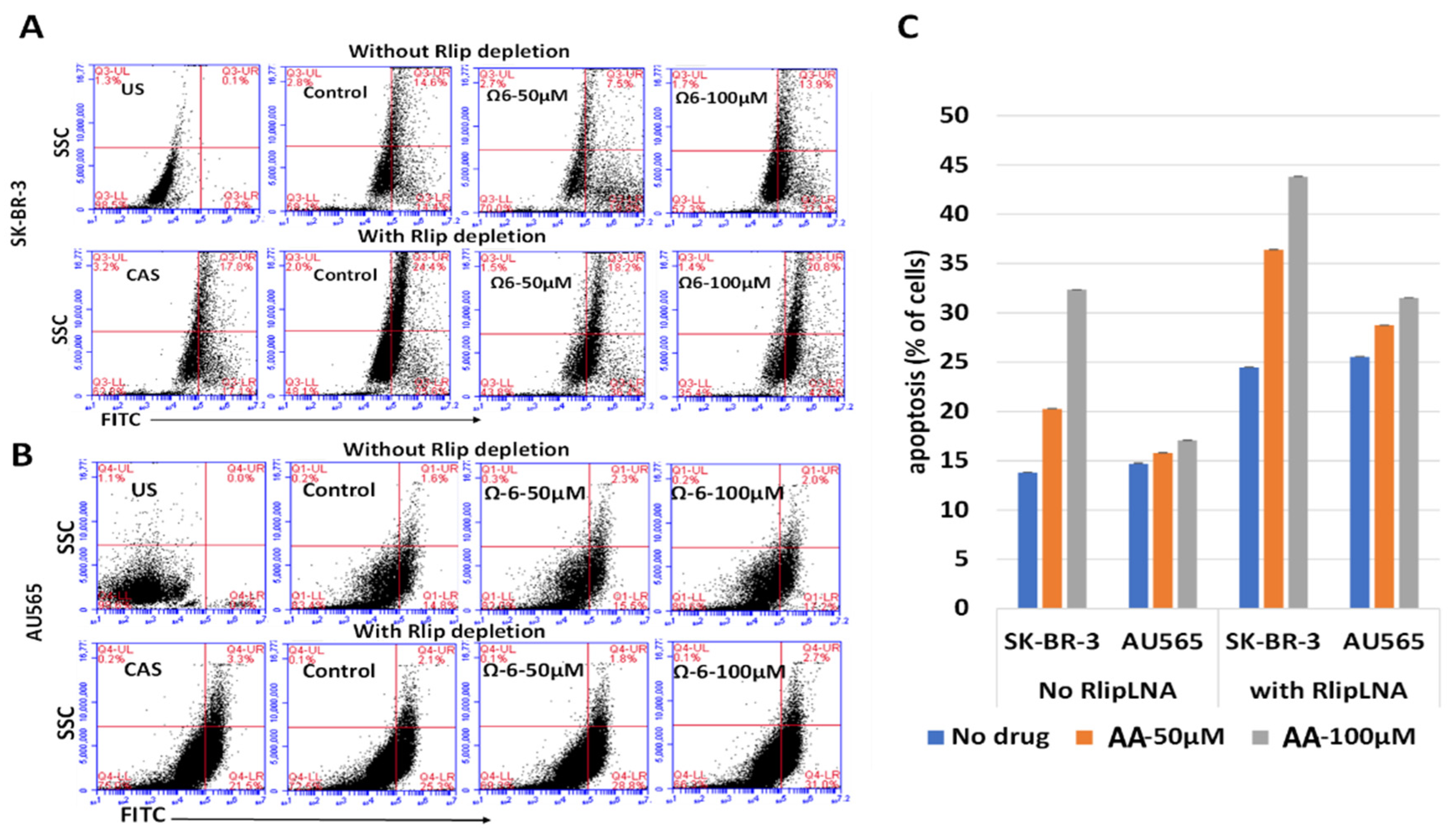 Cancers 13 06377 g005