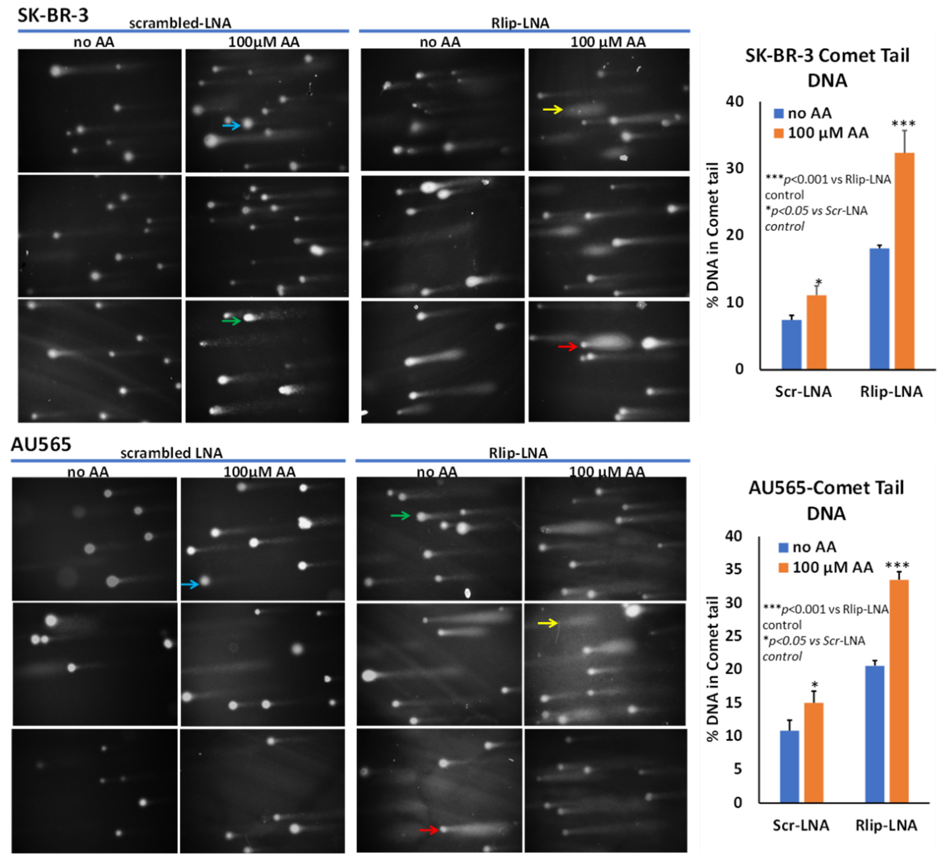 Cancers 13 06377 g006