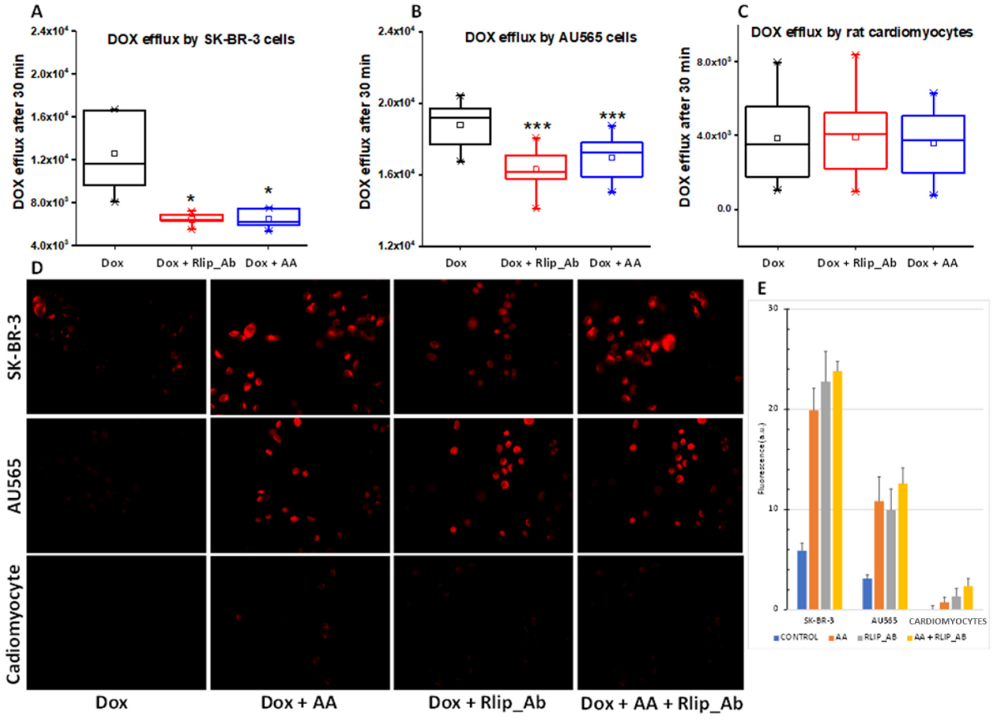 Cancers 13 06377 g010