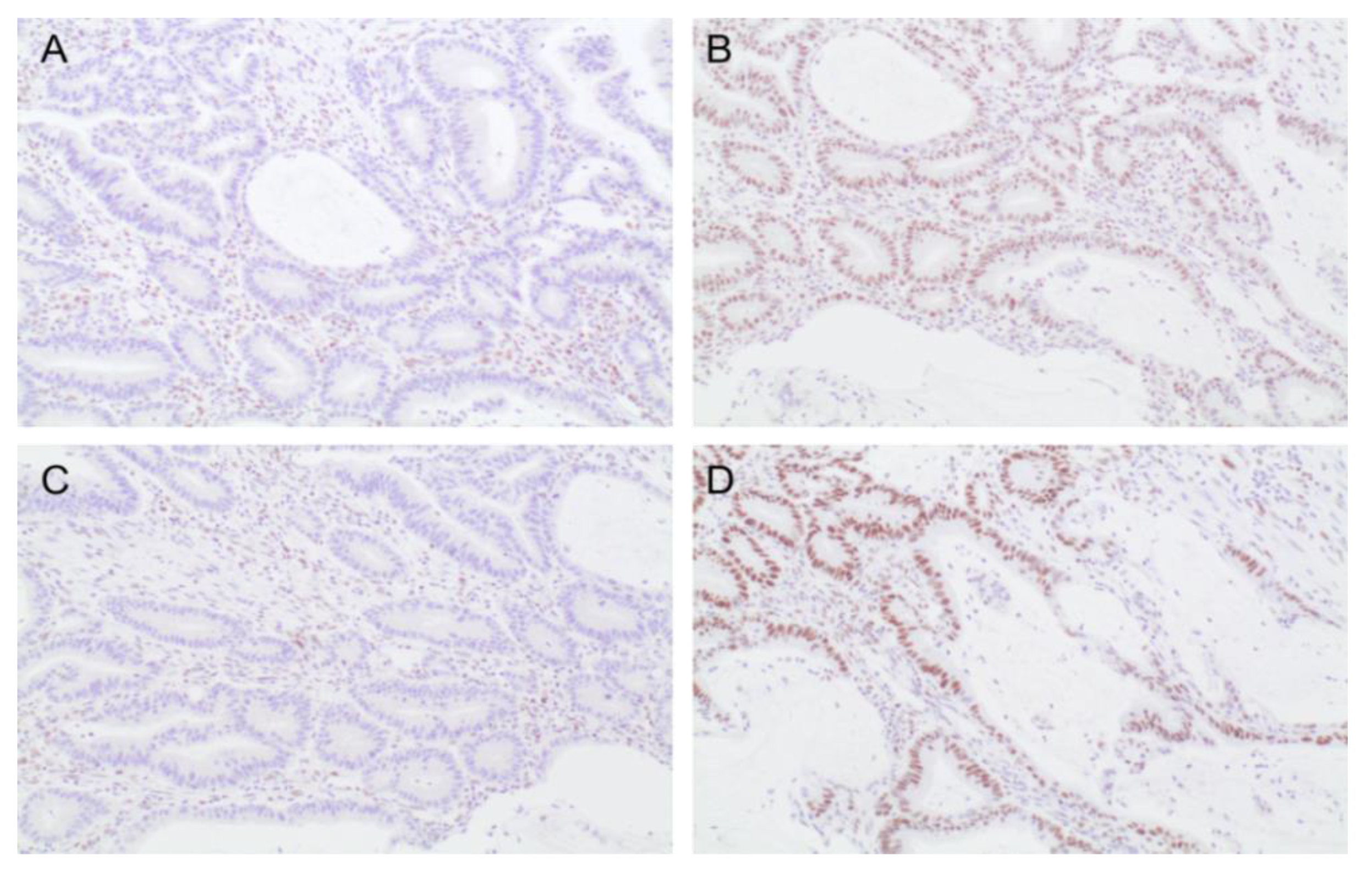 Cancers 13 06378 g001