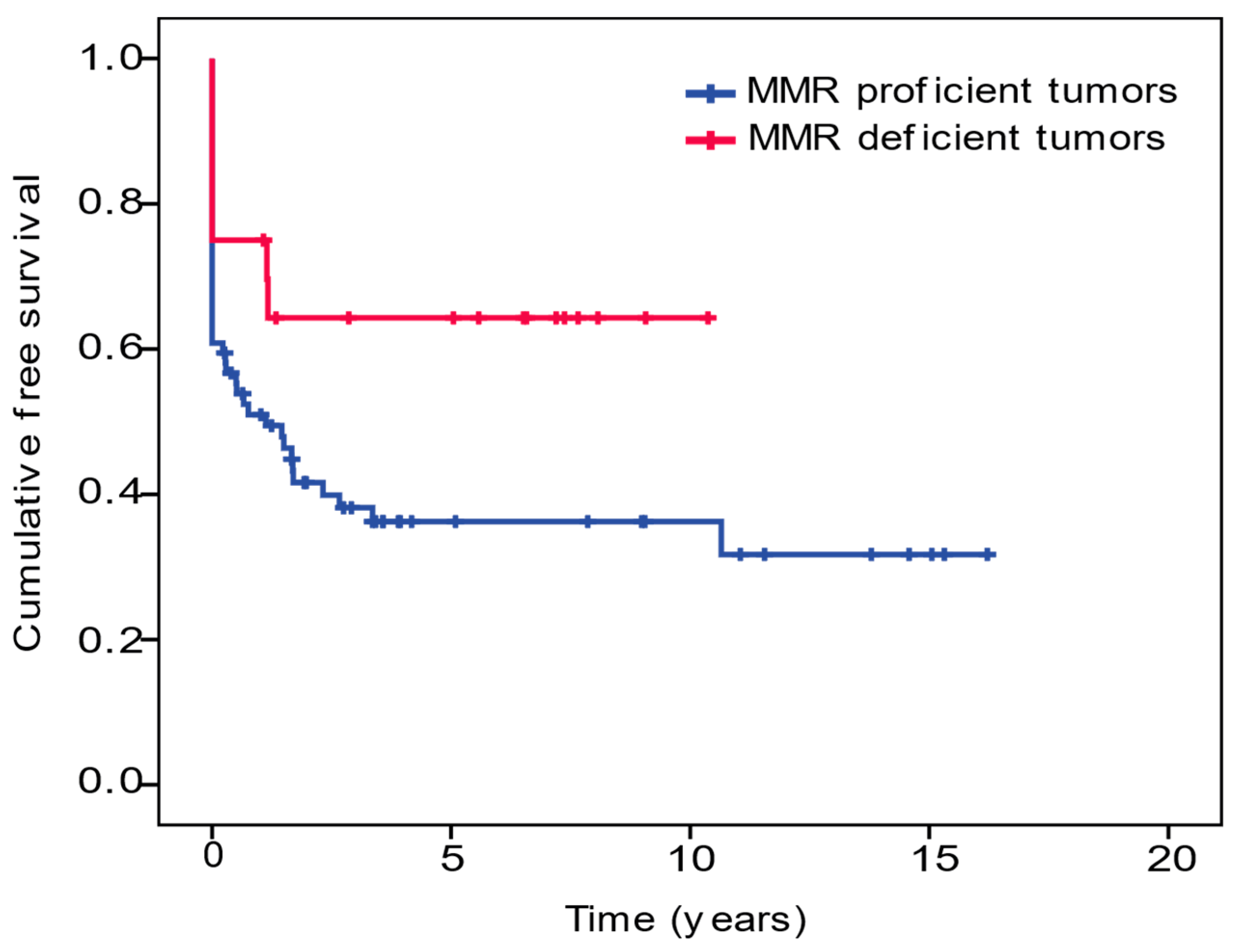 Cancers 13 06378 g002