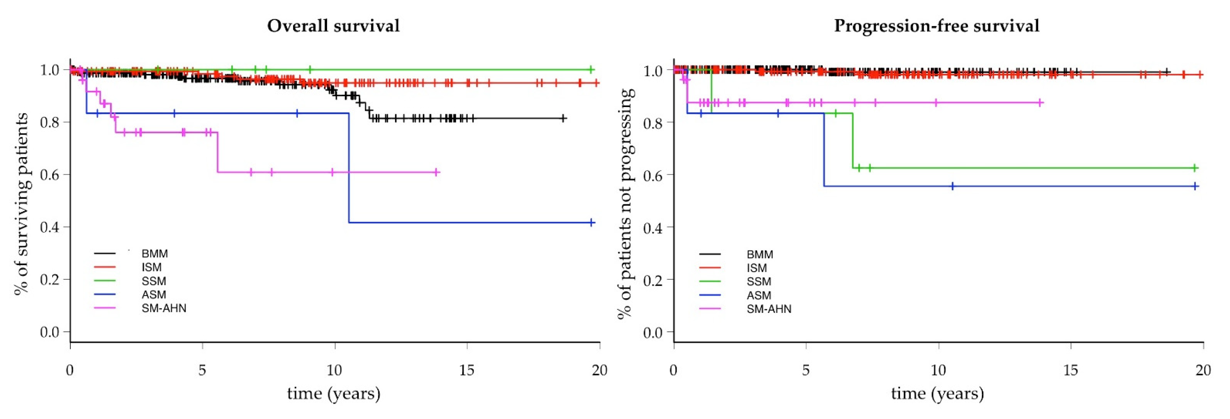 Cancers 13 06380 g003