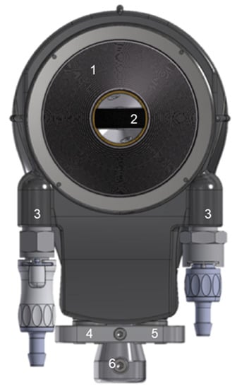 Cancers 13 06381 g001