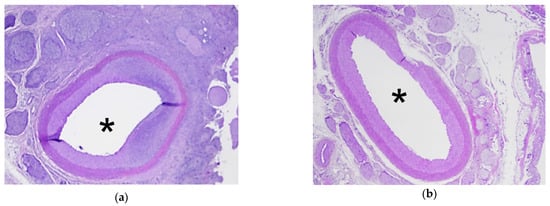 Cancers 13 06381 g006a Cancers 13 06381 g006a