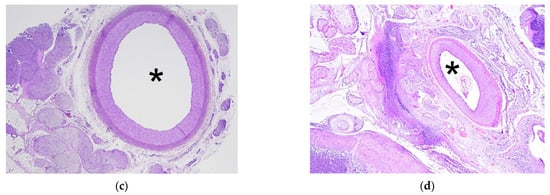 Cancers 13 06381 g006b