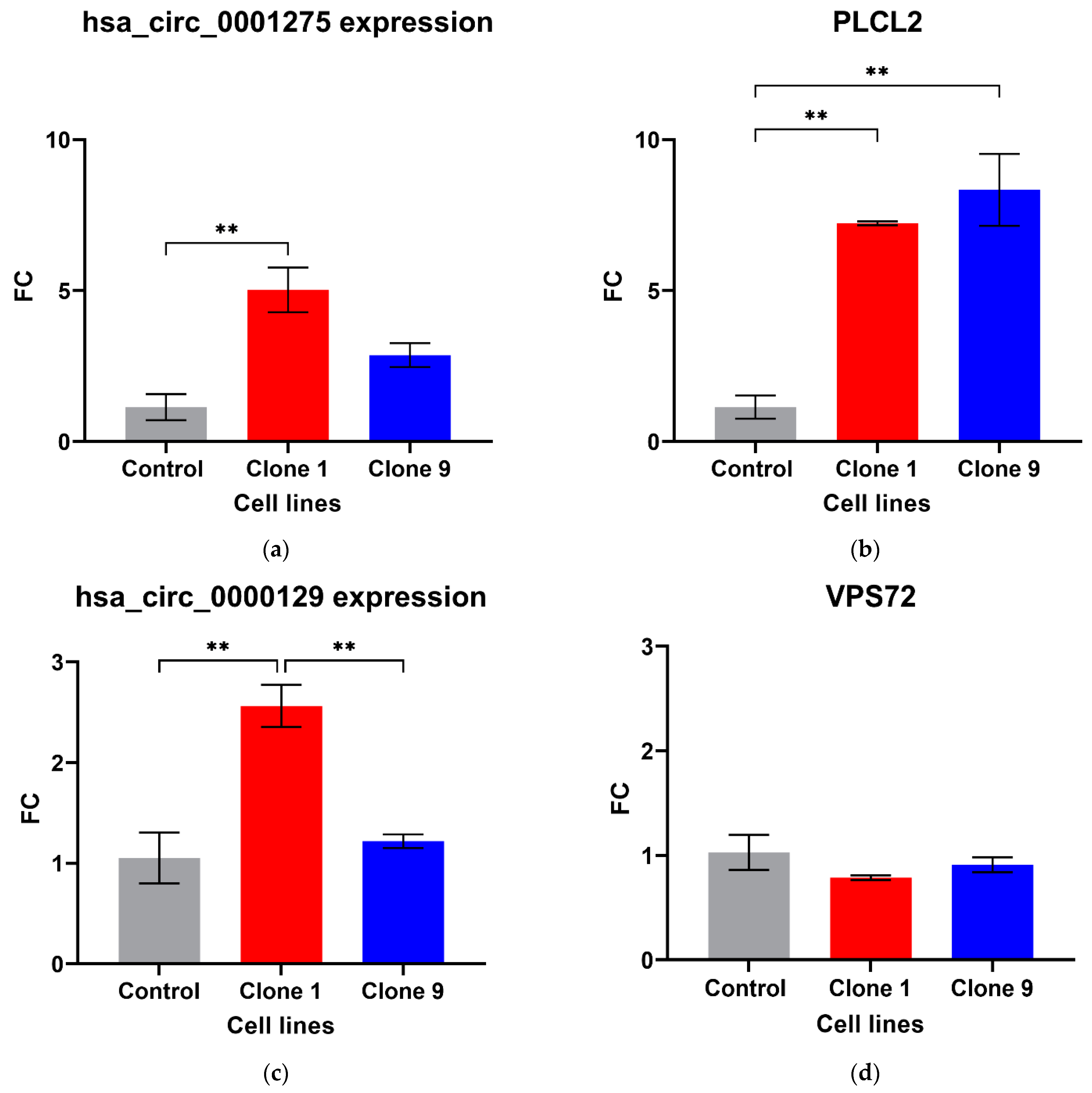 Cancers 13 06383 g001a
