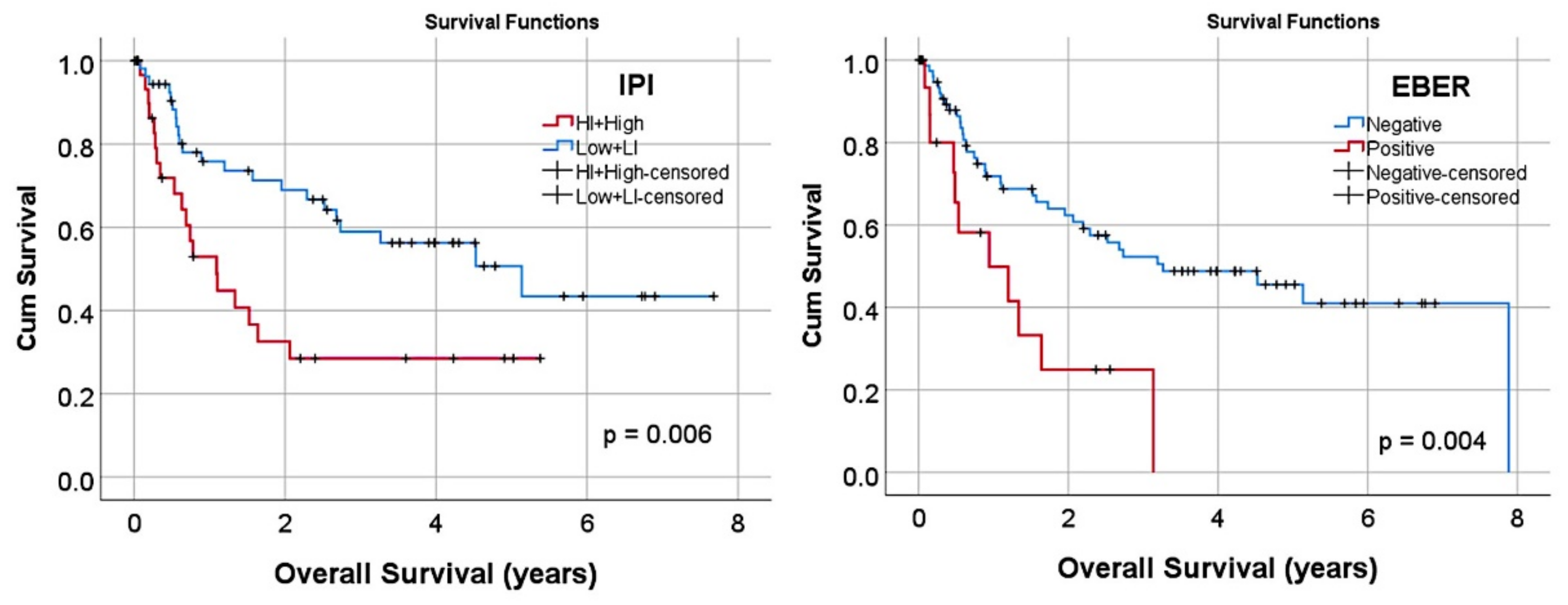 Cancers 13 06384 g001