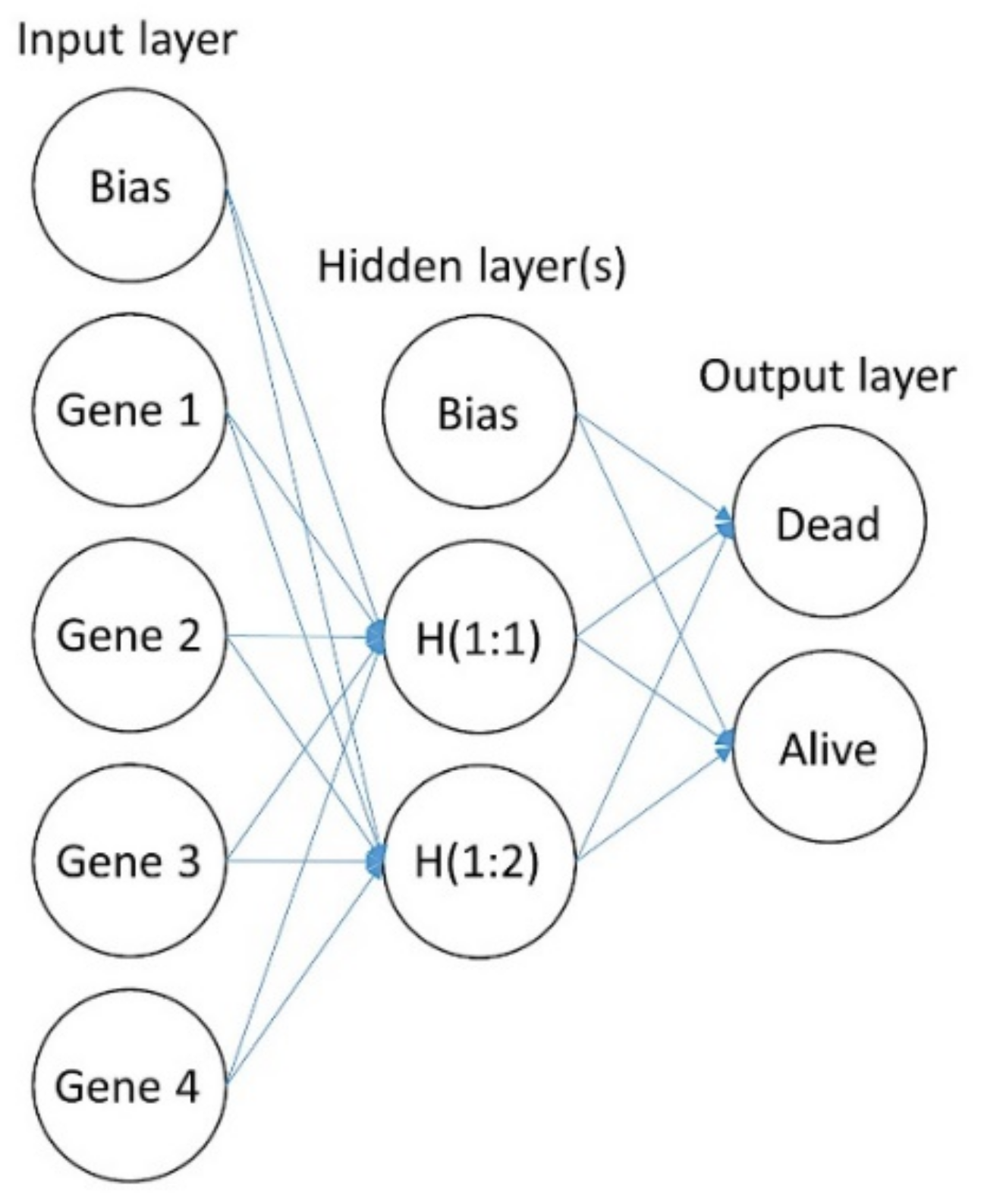 Cancers 13 06384 g002