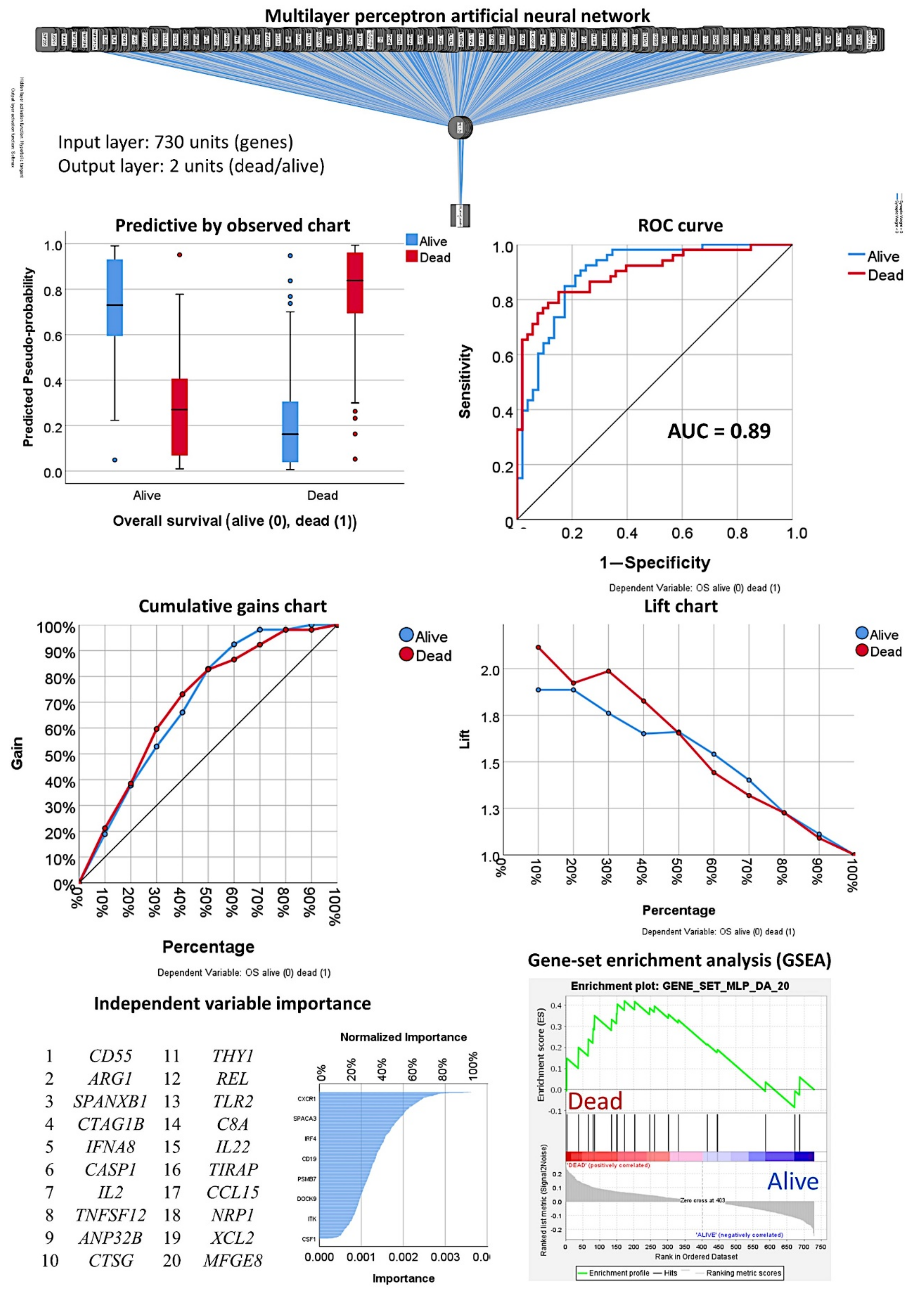 Cancers 13 06384 g007