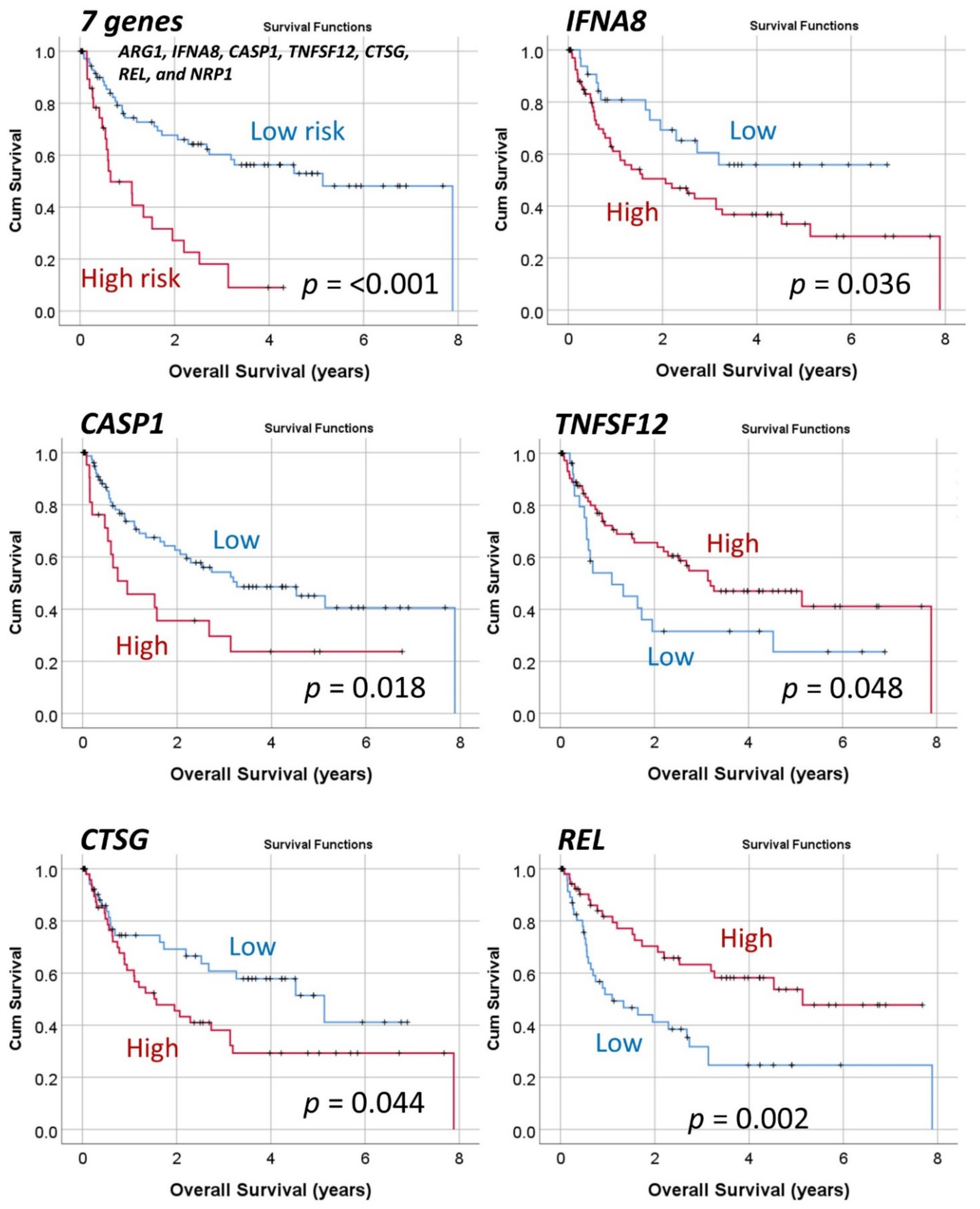 Cancers 13 06384 g008