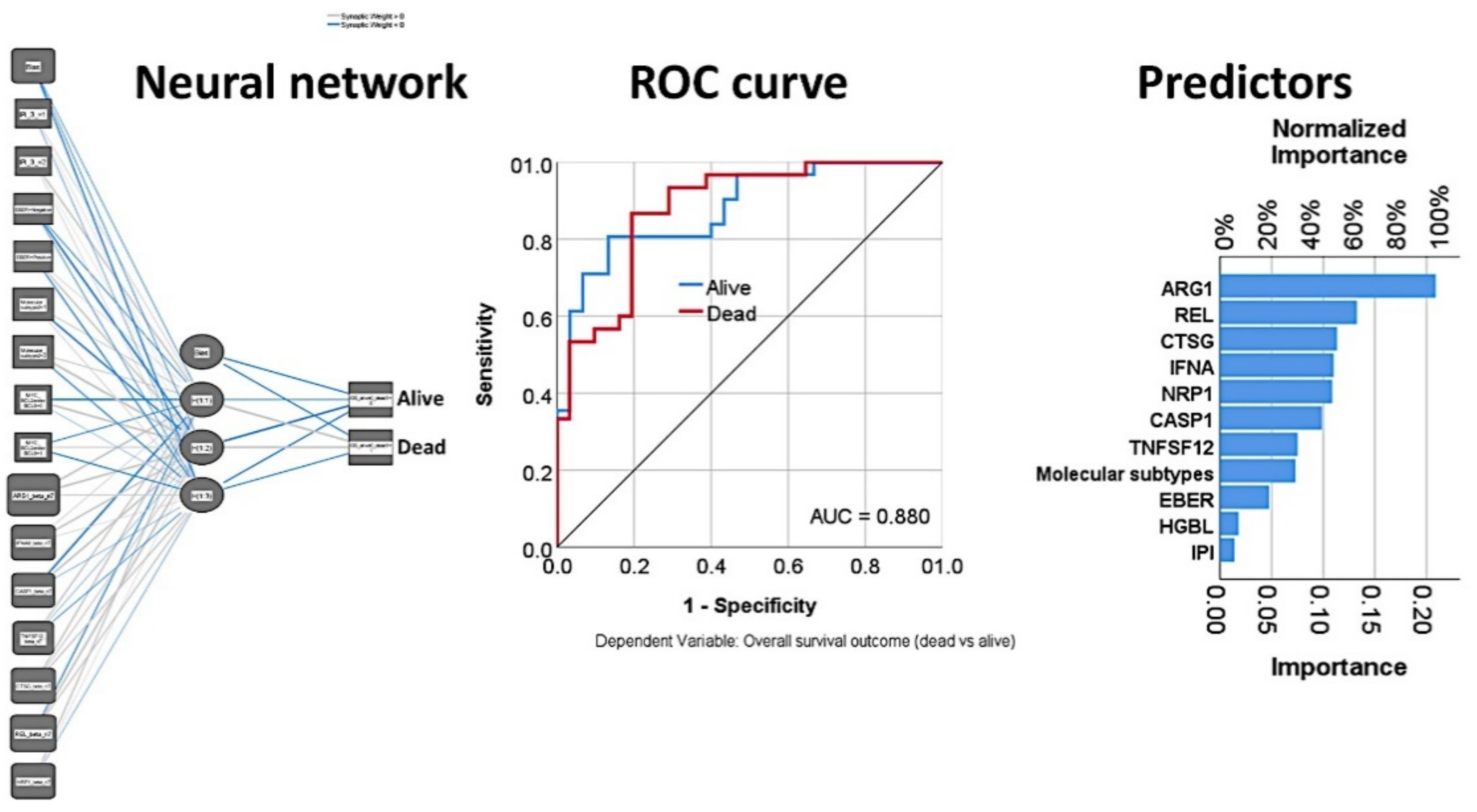 Cancers 13 06384 g010