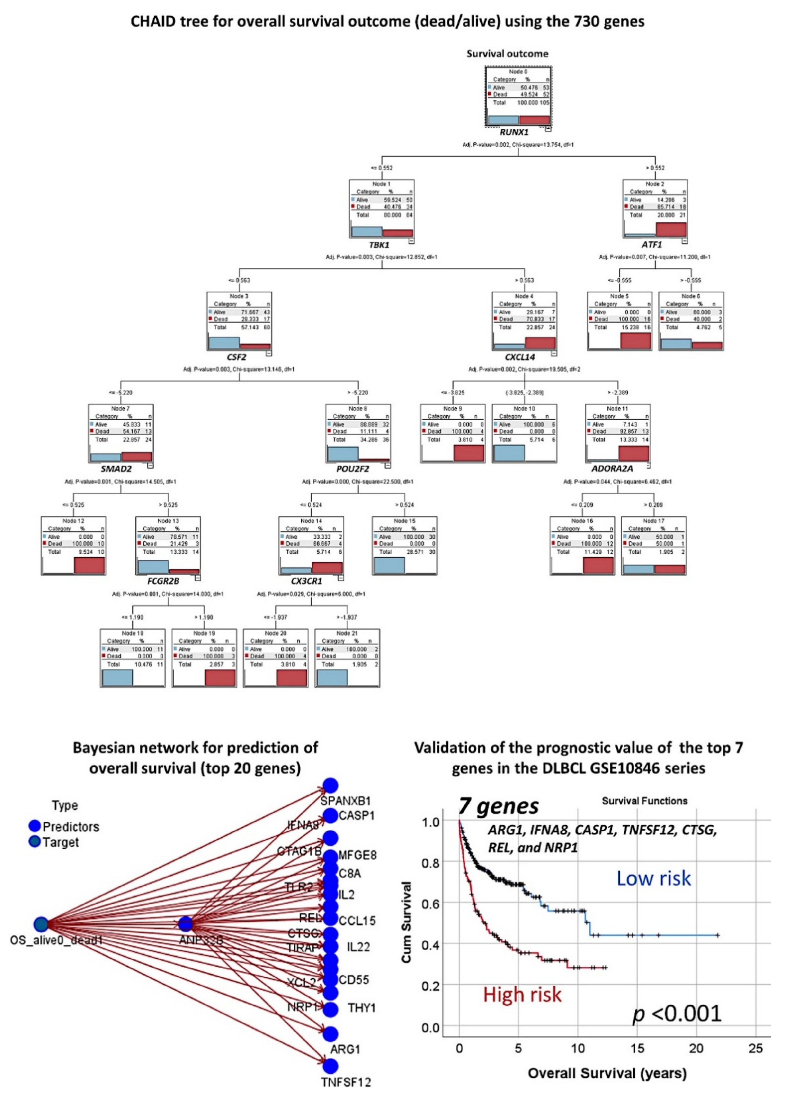 Cancers 13 06384 g011