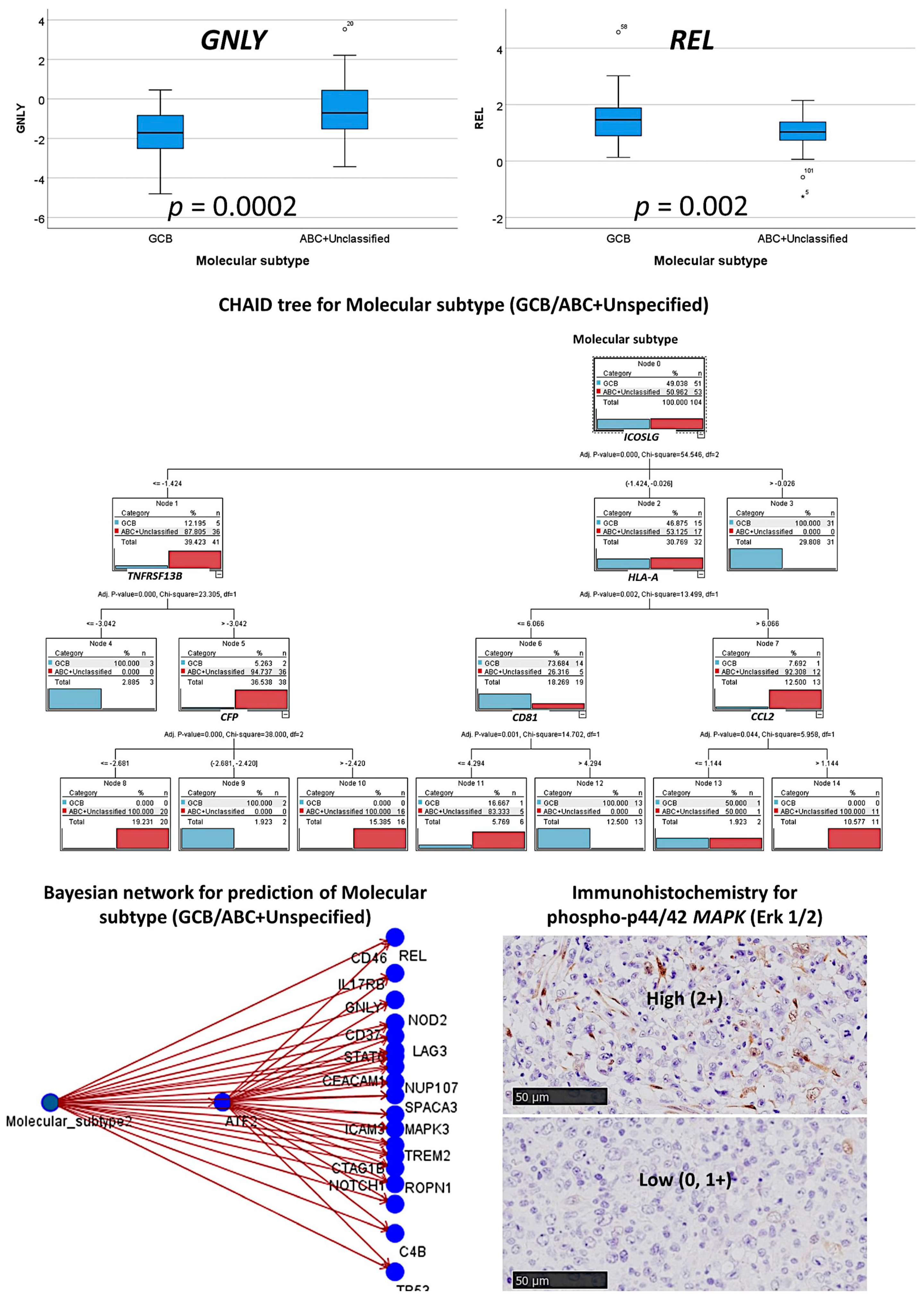 Cancers 13 06384 g014