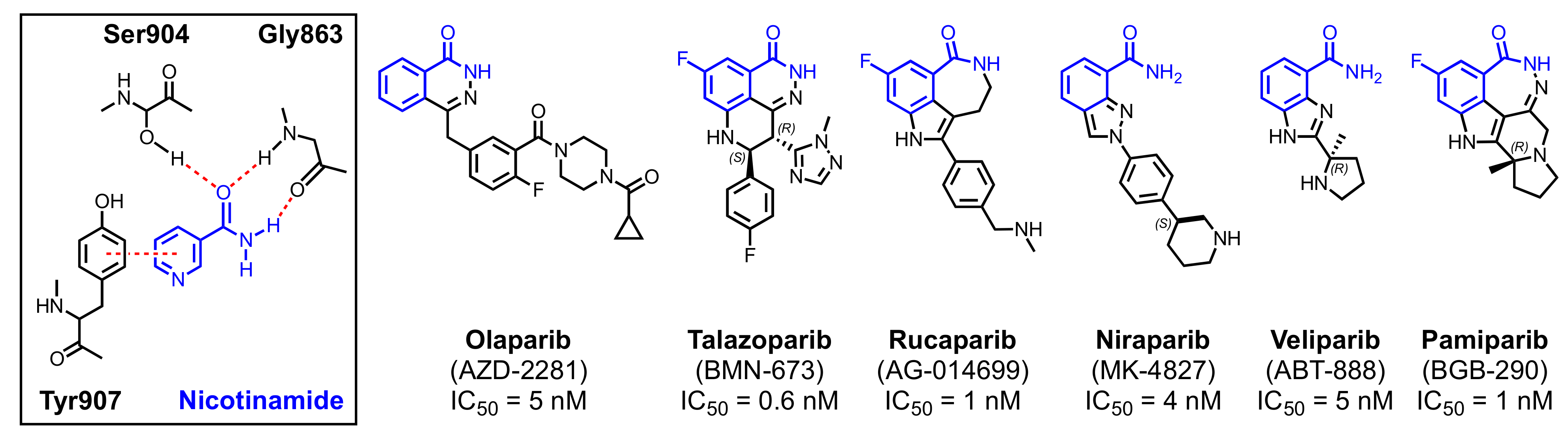 Cancers 13 06385 g003 Cancers 13 06385 g003