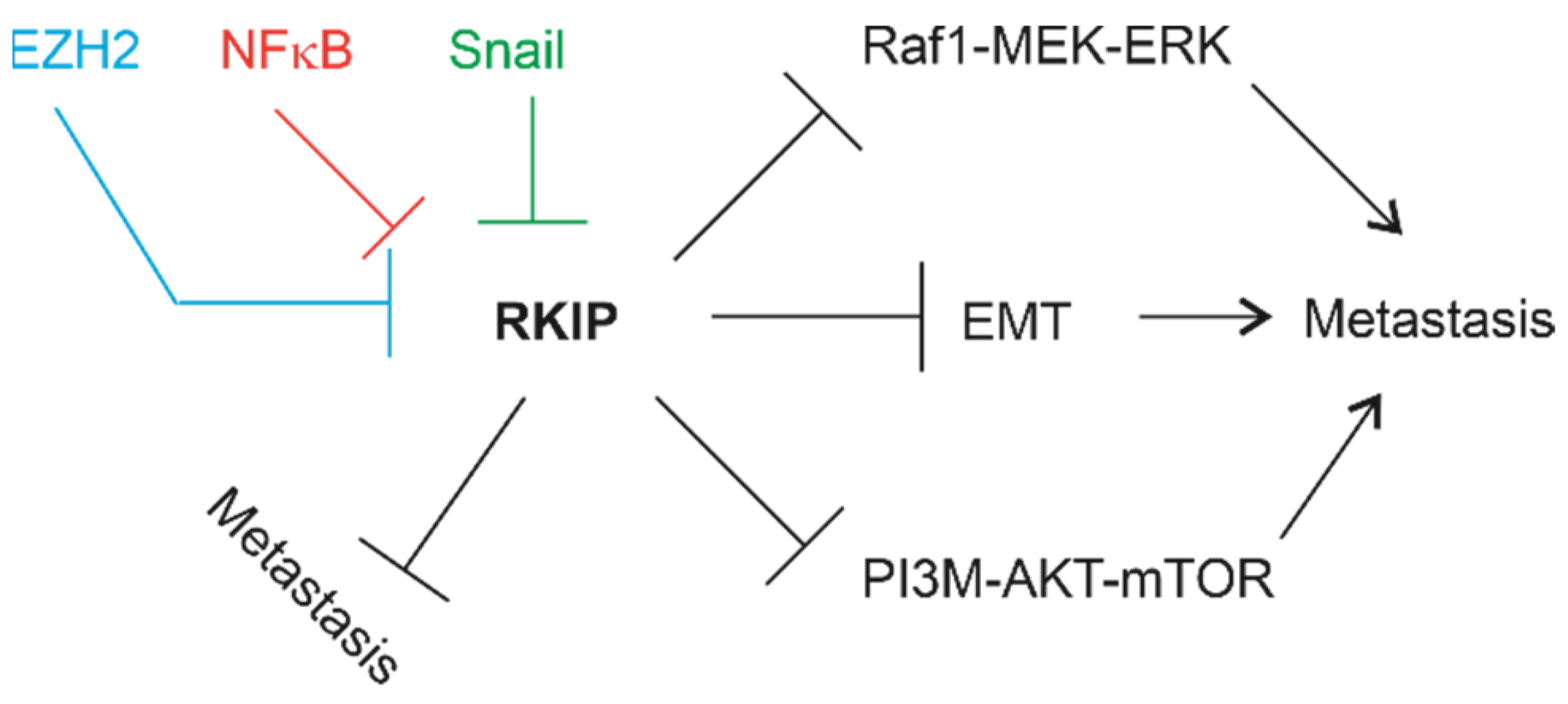 Cancers 13 06388 g001