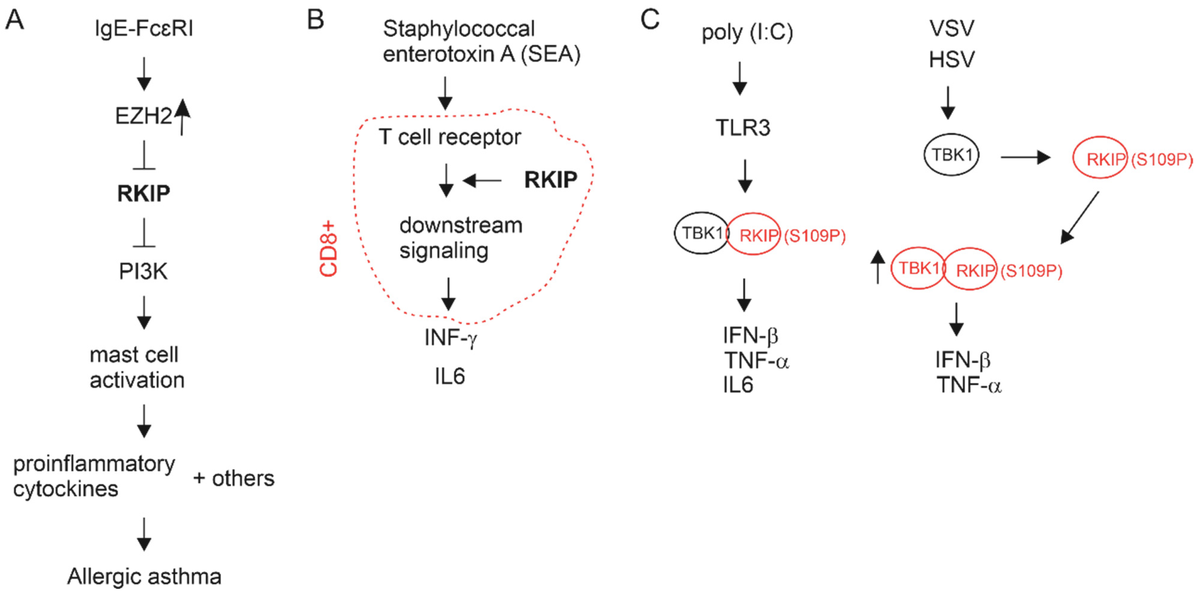 Cancers 13 06388 g003