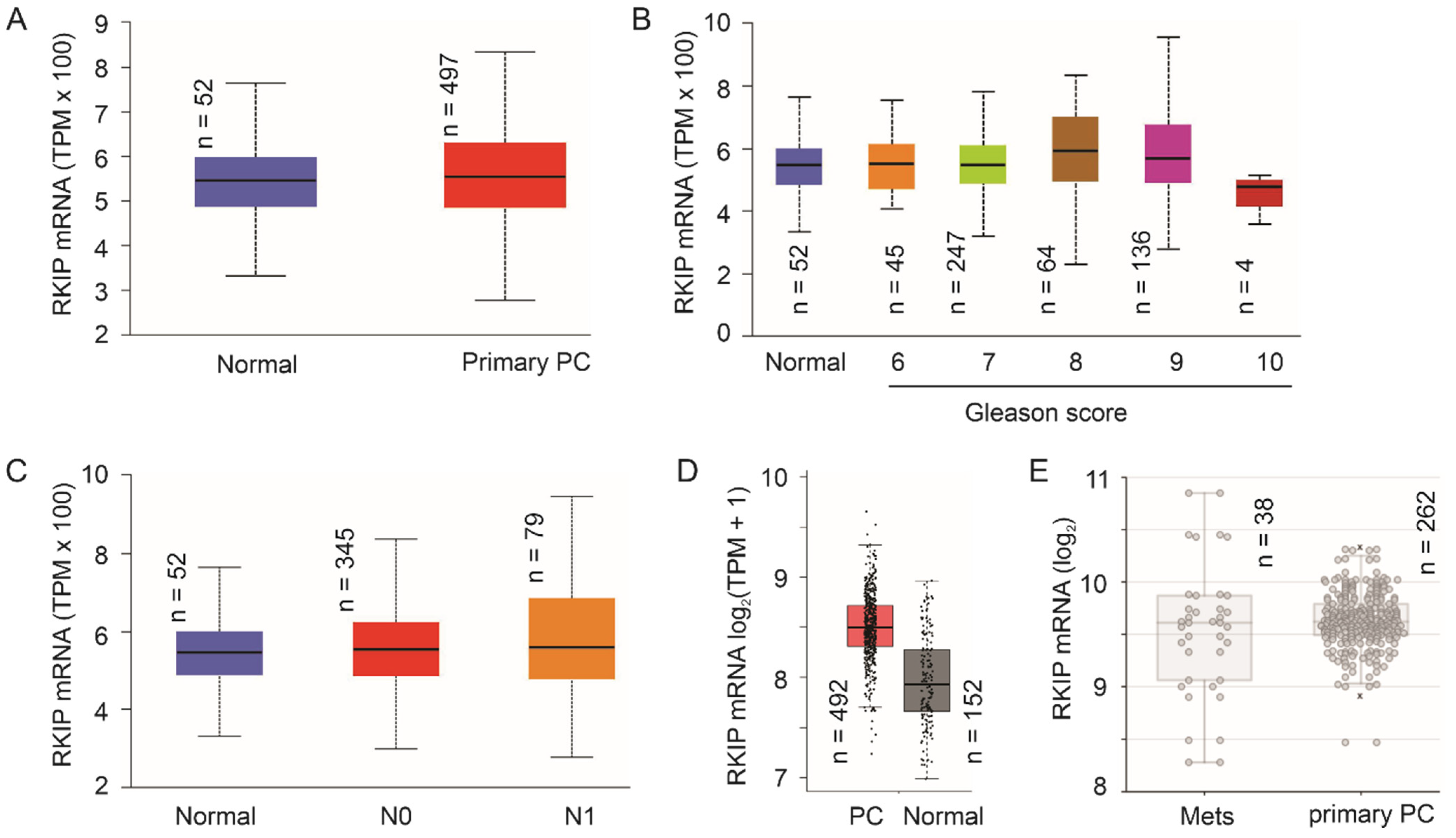 Cancers 13 06388 g004