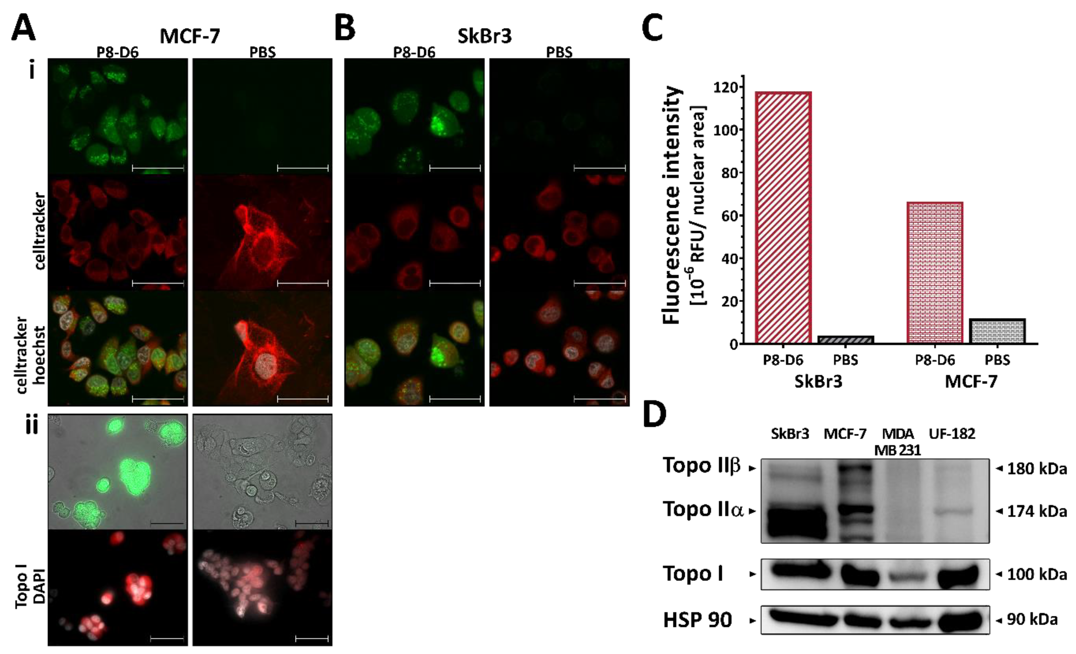 Cancers 14 00002 g002