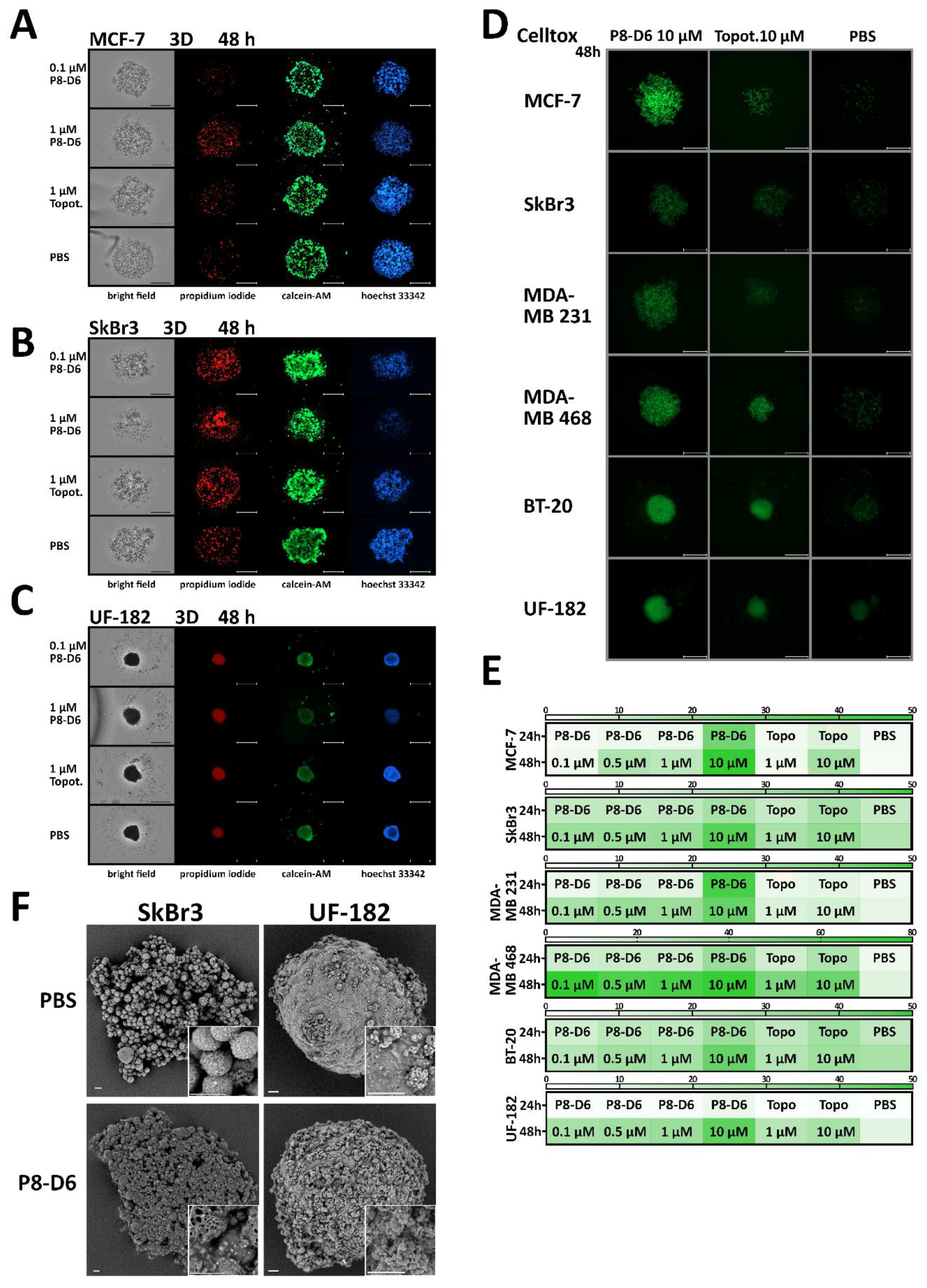 Cancers 14 00002 g006