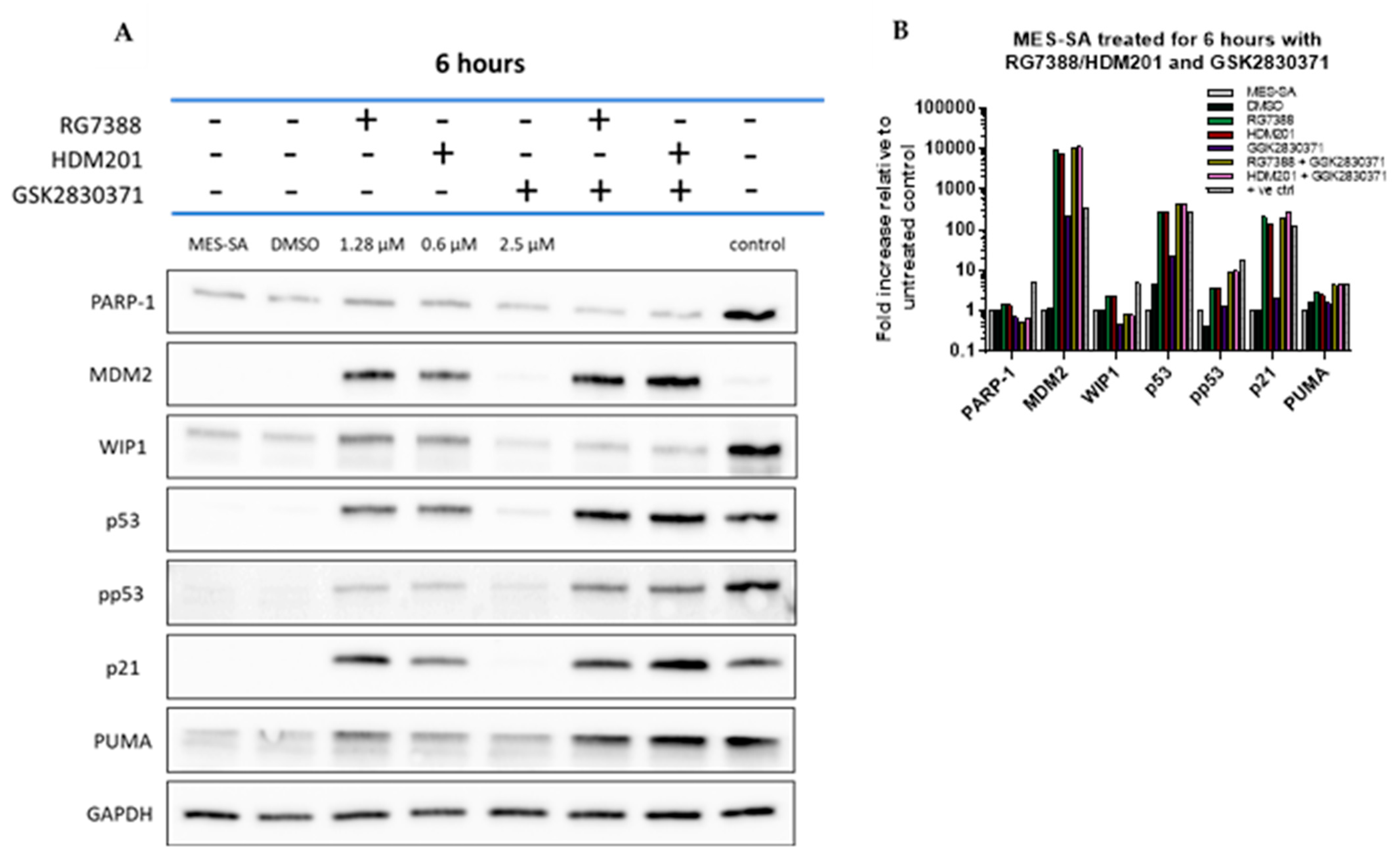 Cancers 14 00014 g004
