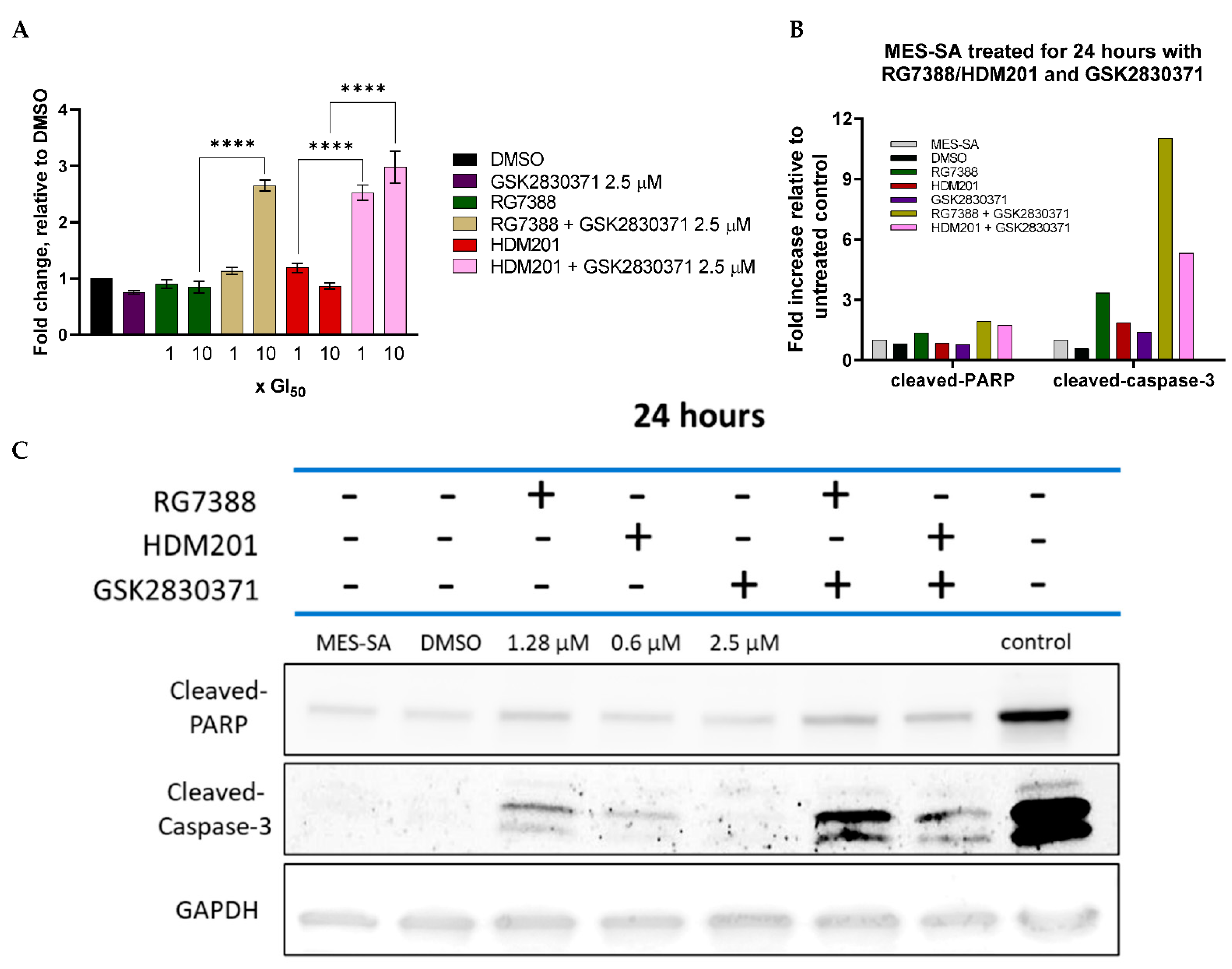 Cancers 14 00014 g008