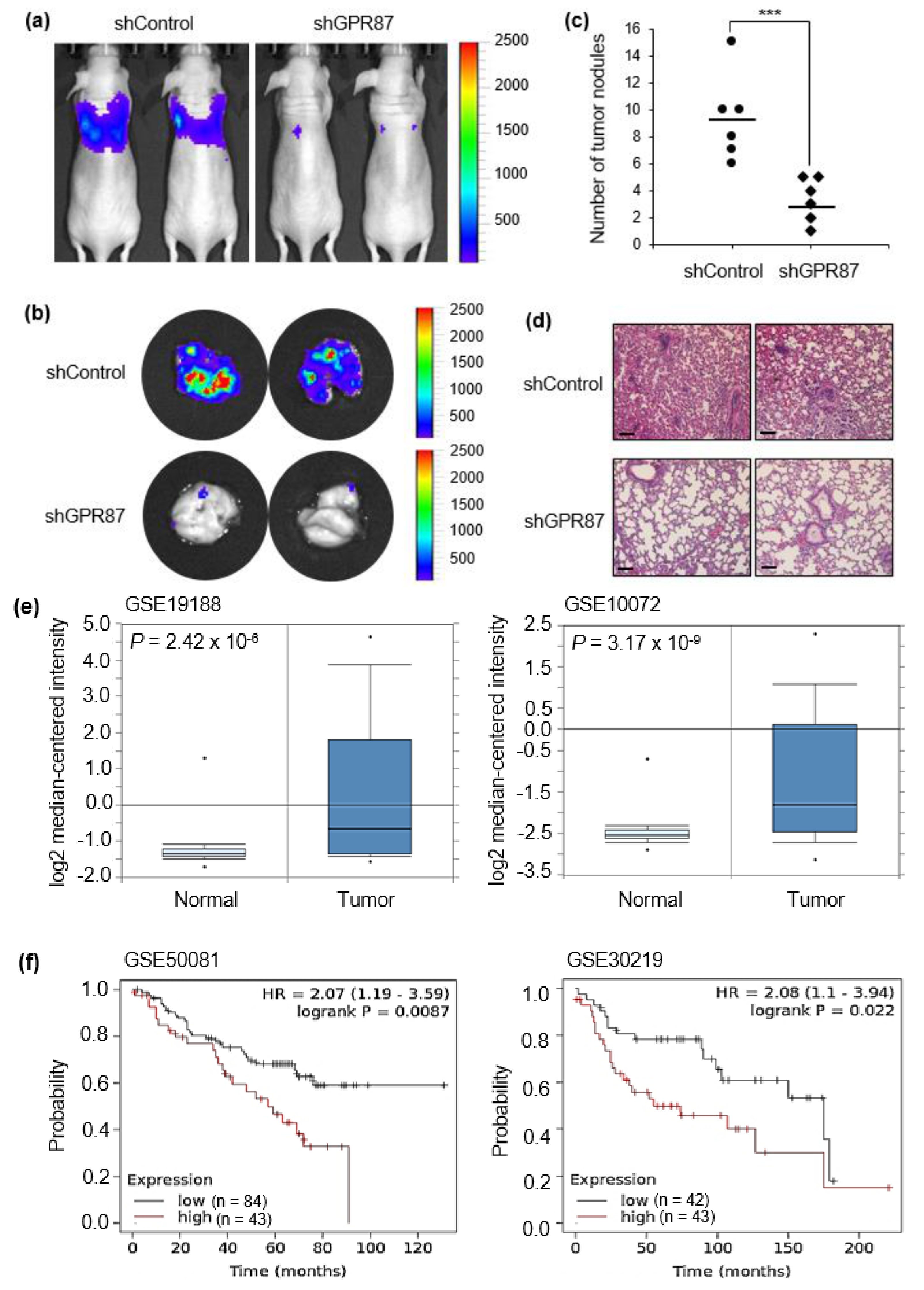 Cancers 14 00019 g005