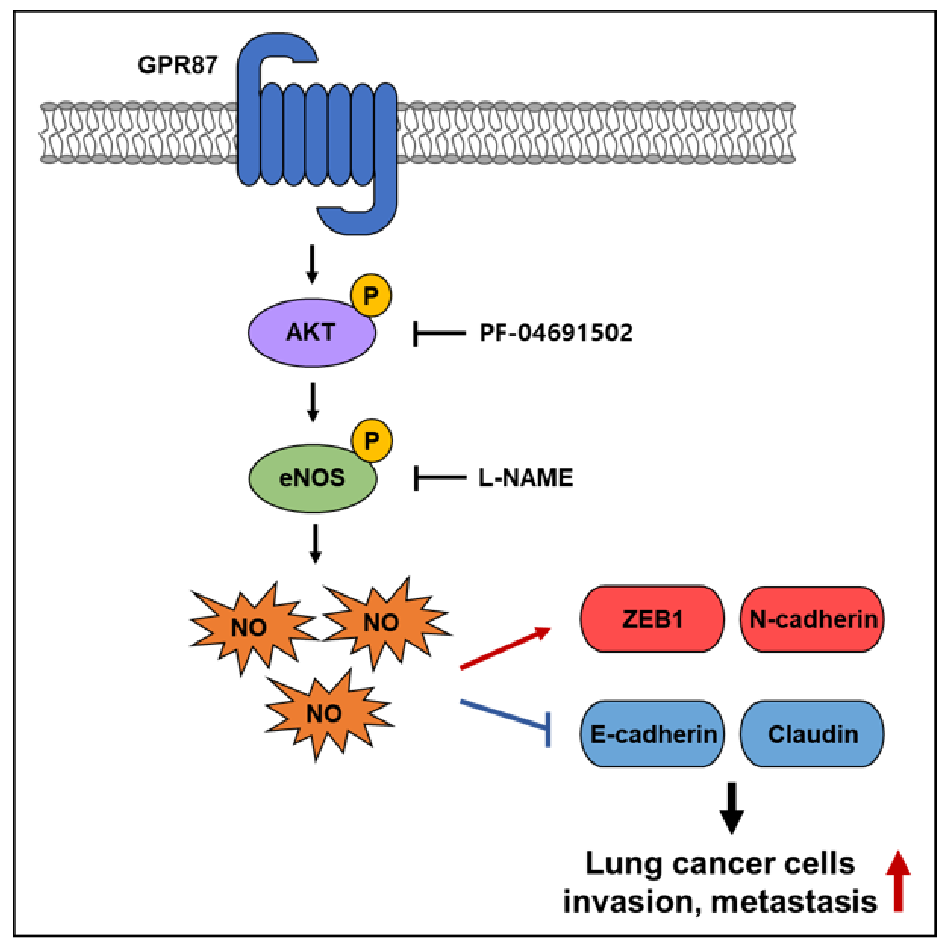 Cancers 14 00019 g006