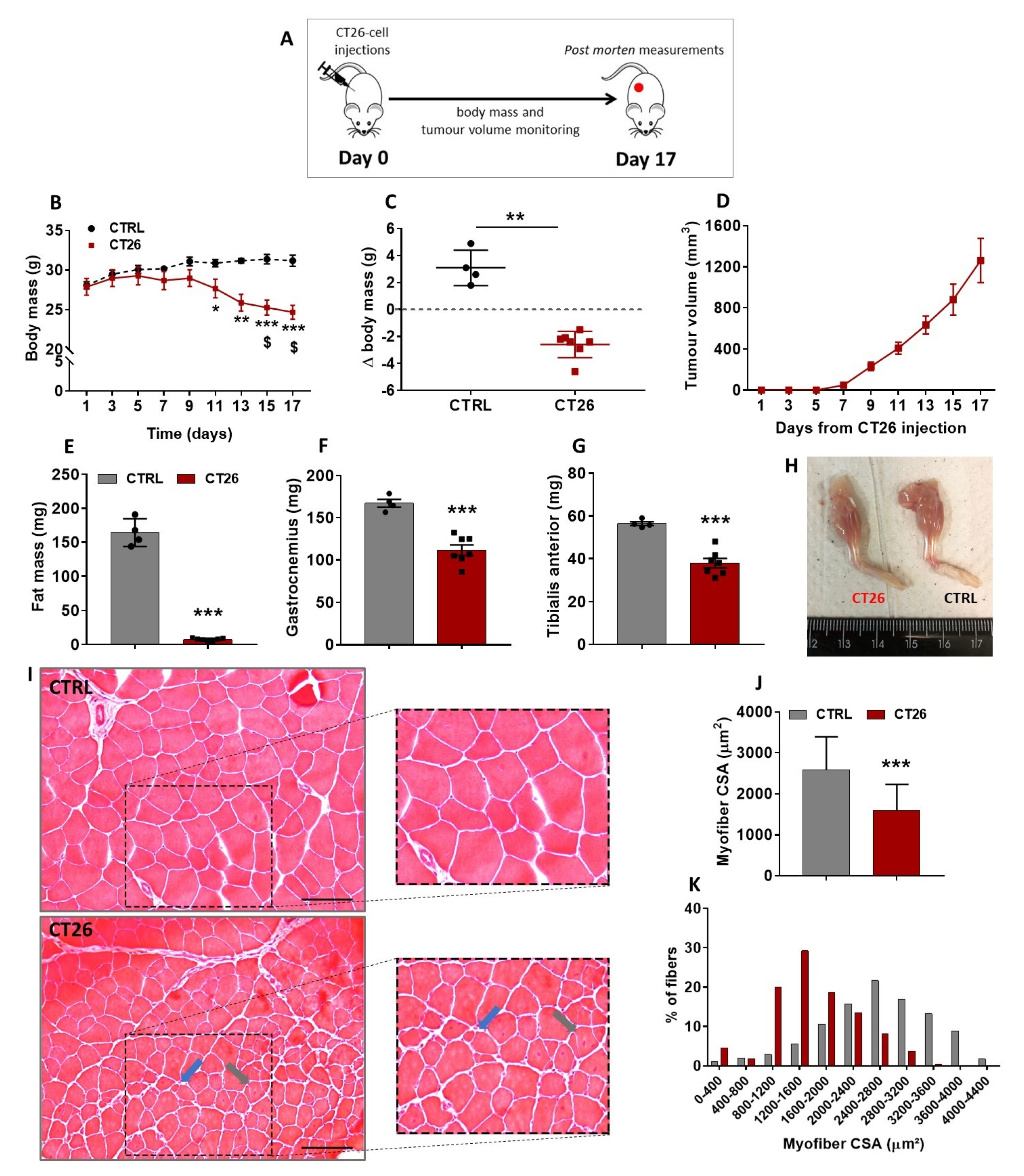 Cancers 14 00028 g001
