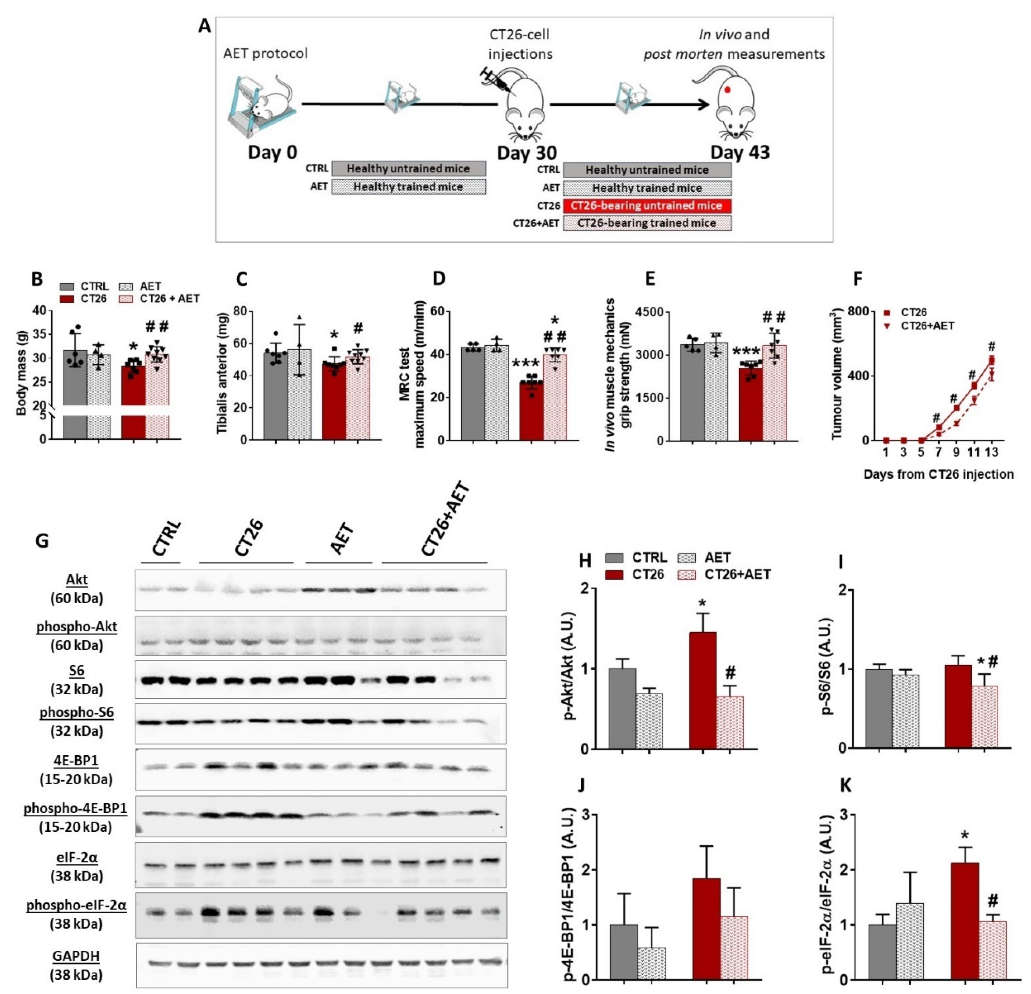 Cancers 14 00028 g002