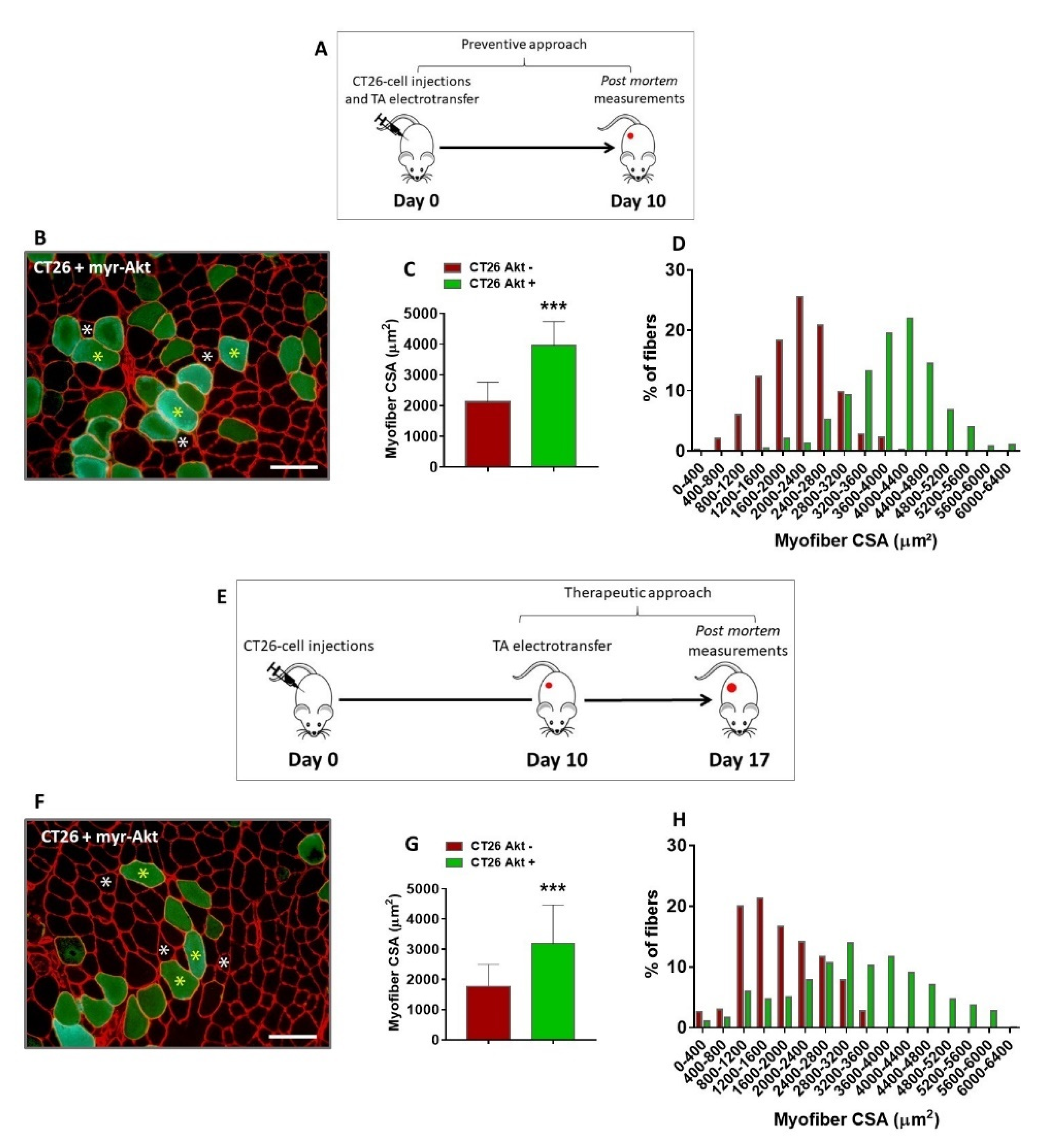 Cancers 14 00028 g003