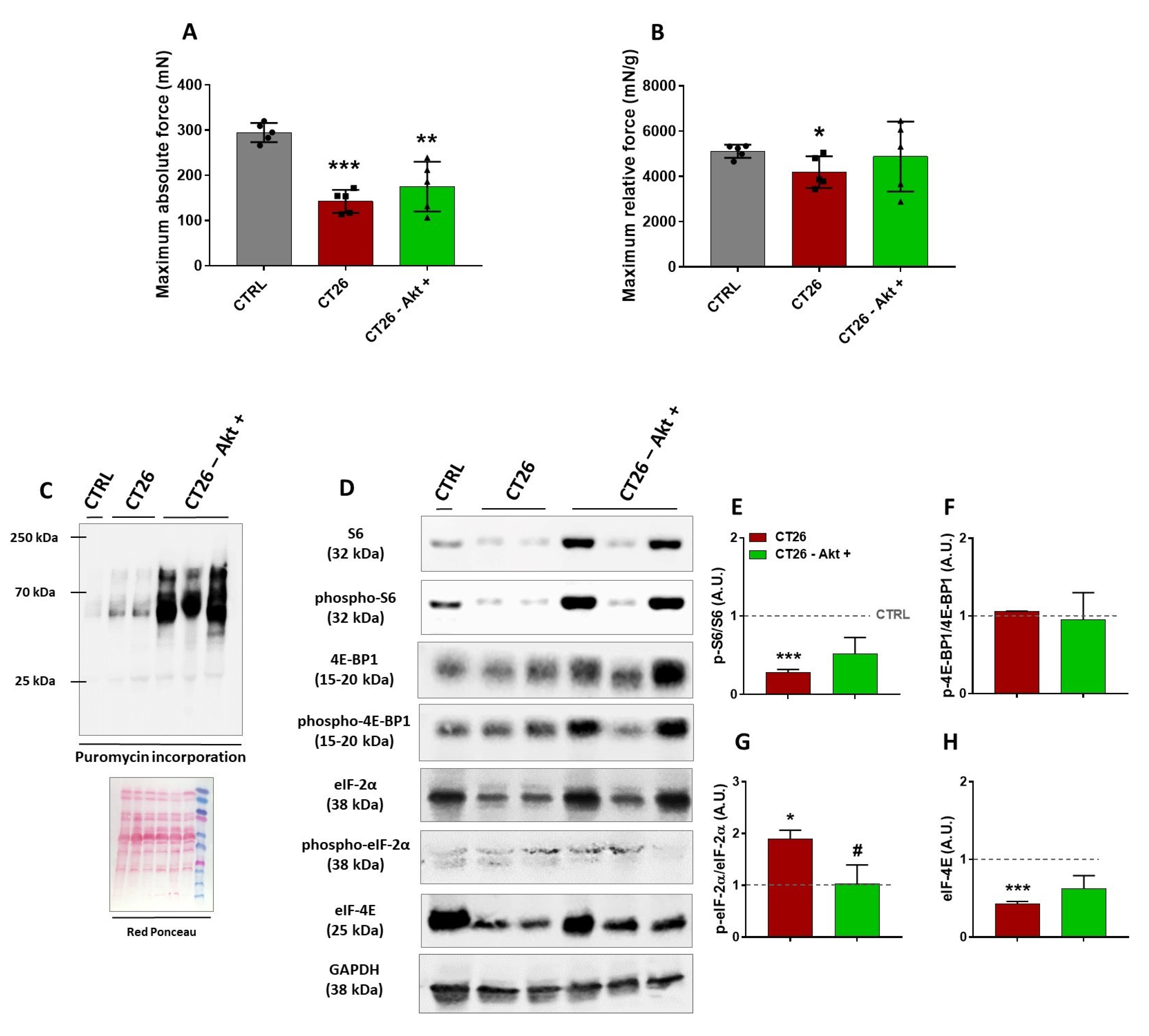Cancers 14 00028 g004