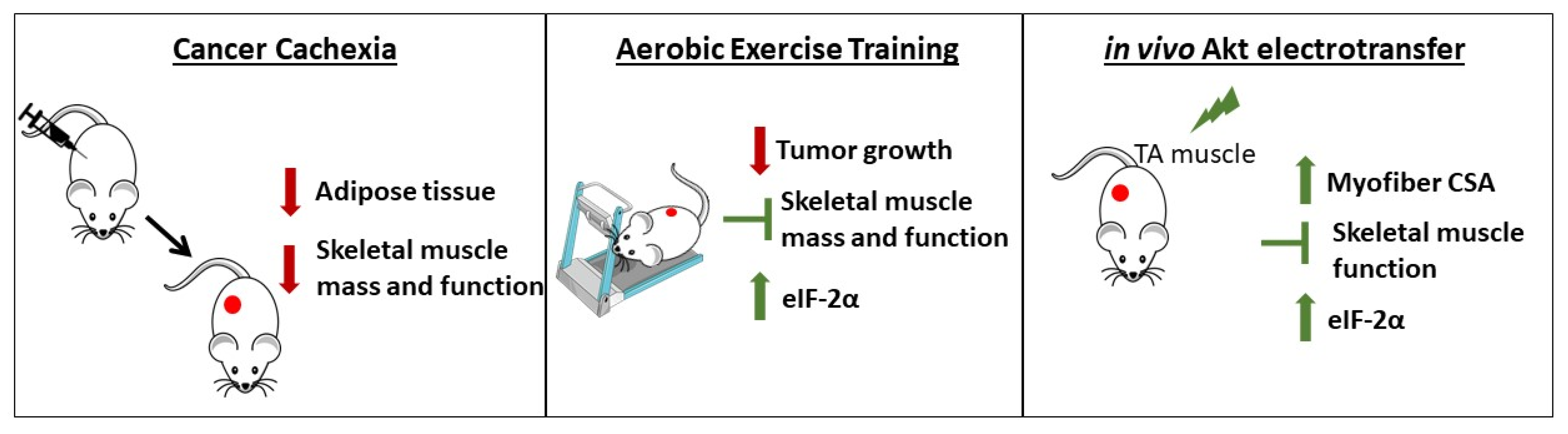 Cancers 14 00028 g005