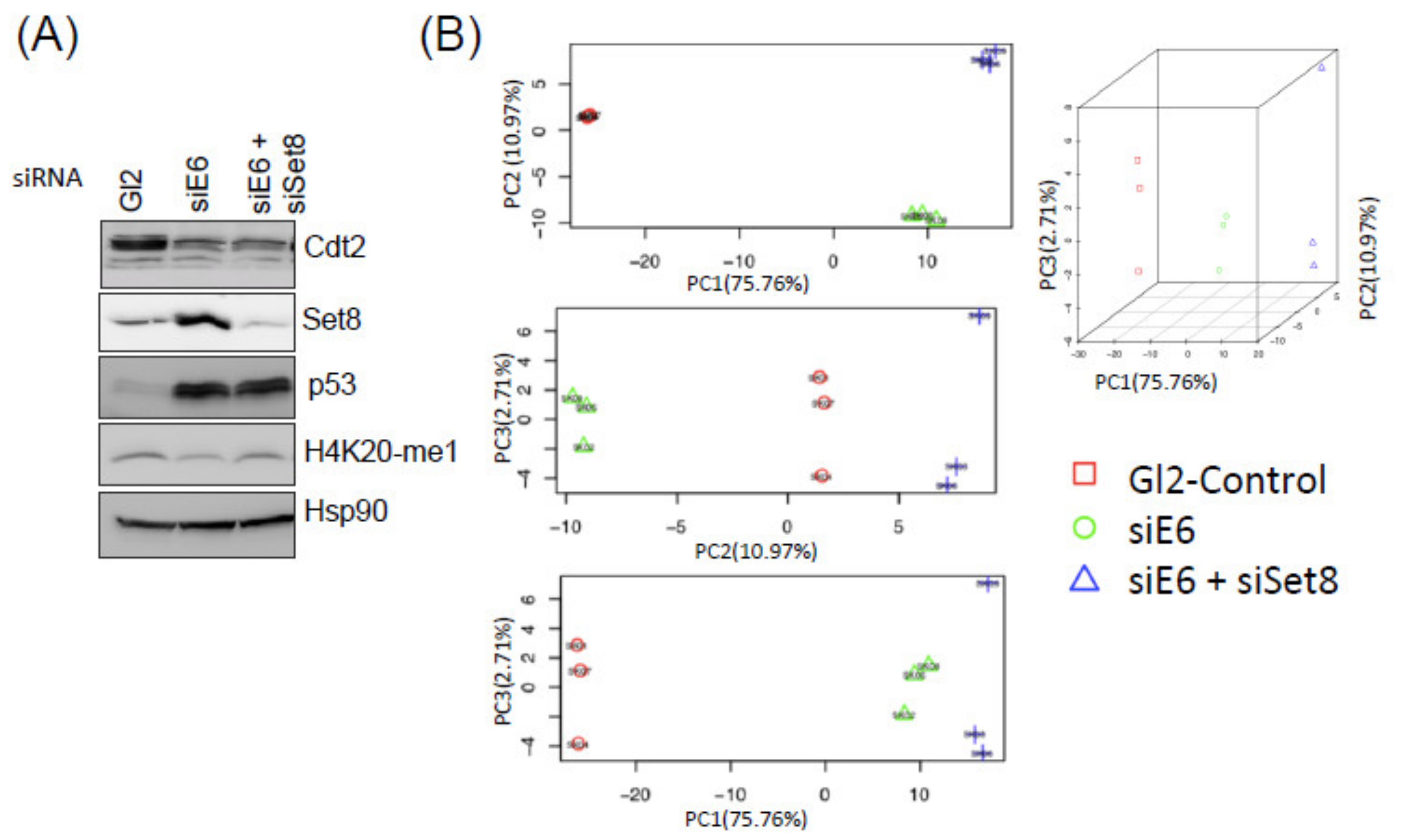 Cancers 14 00030 g002a