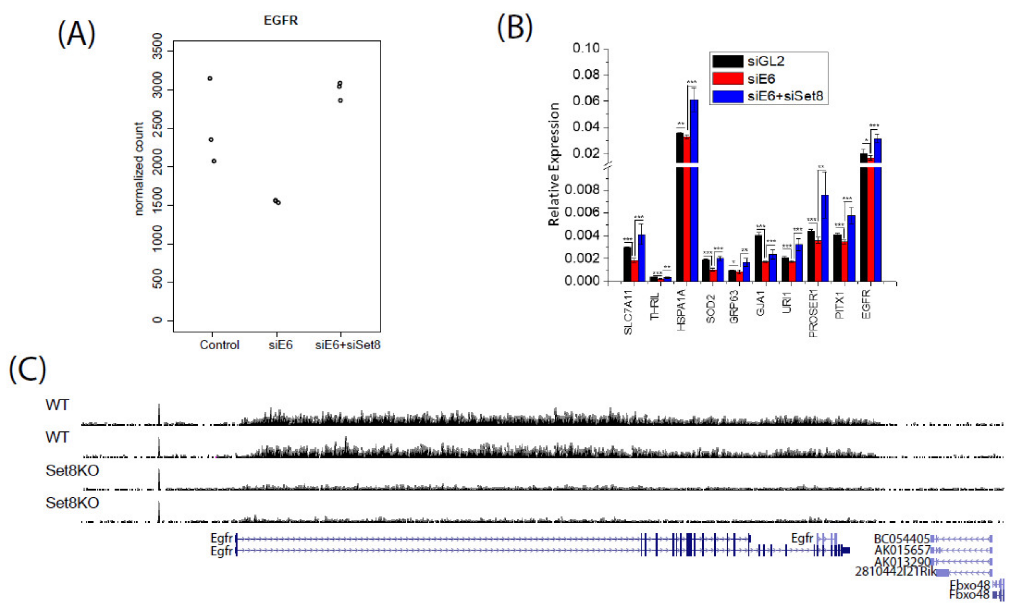 Cancers 14 00030 g003a