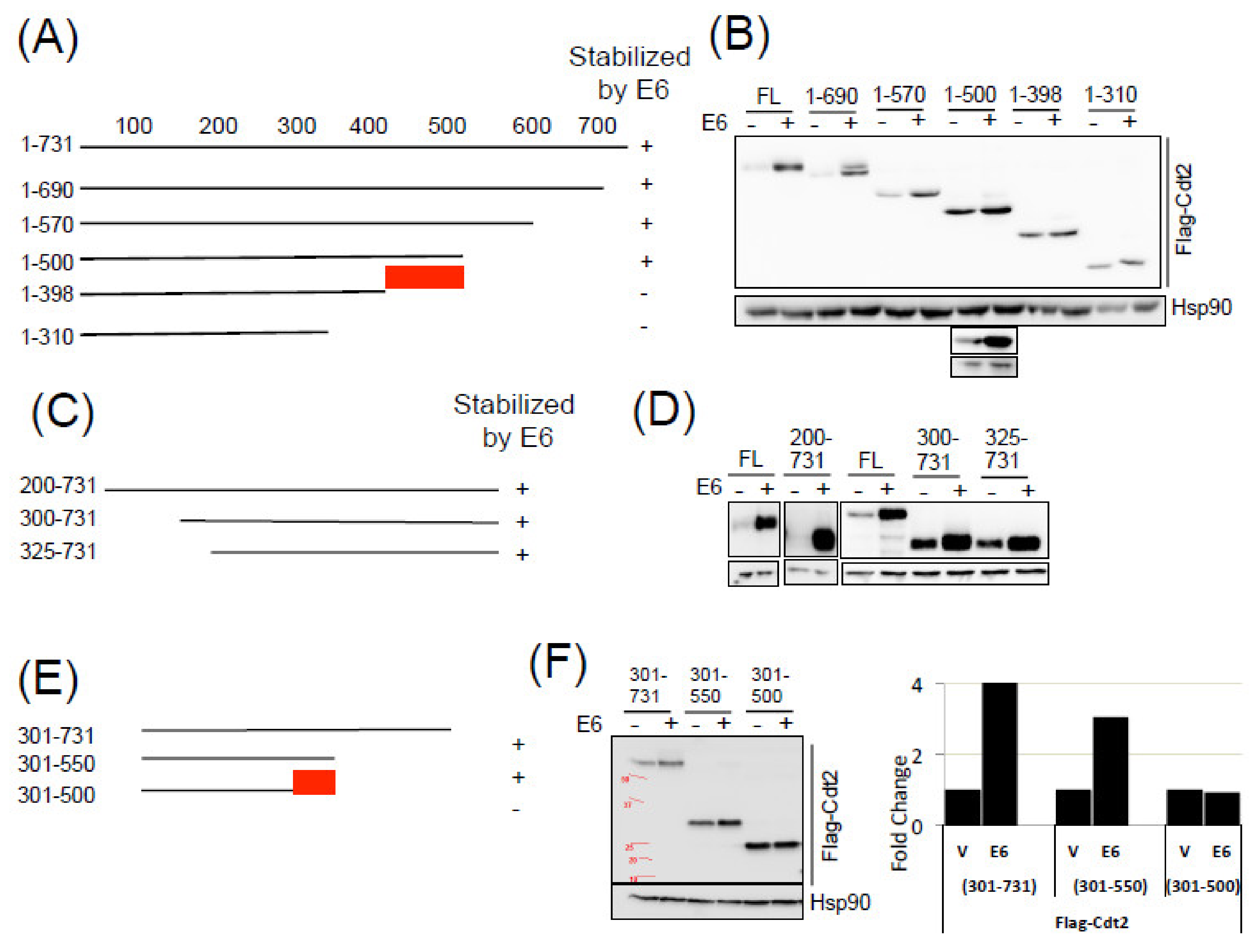 Cancers 14 00030 g005a