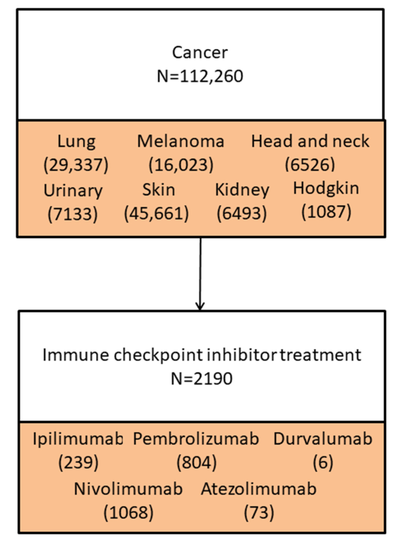 Cancers 14 00049 g001
