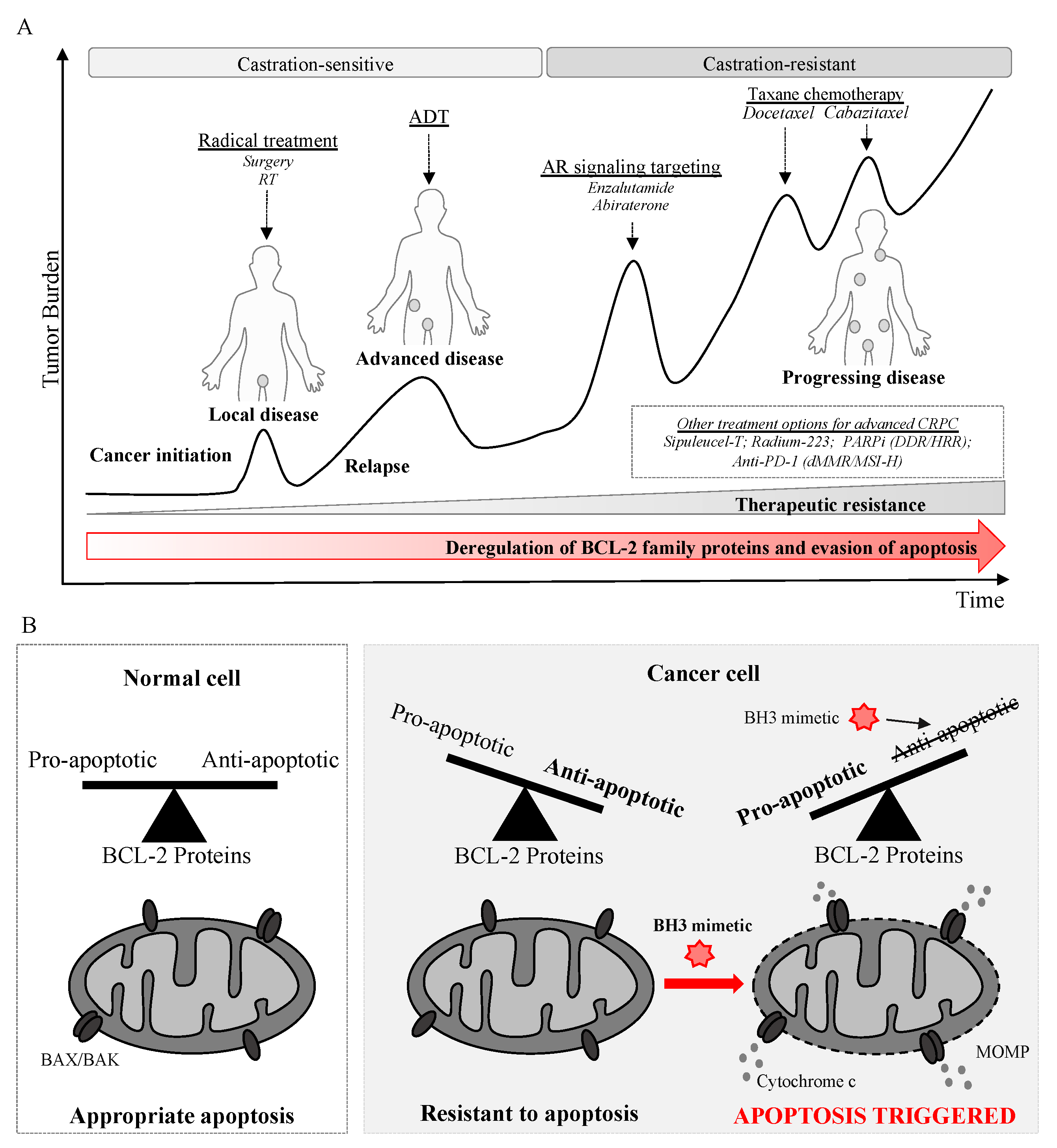 Cancers 14 00051 g002