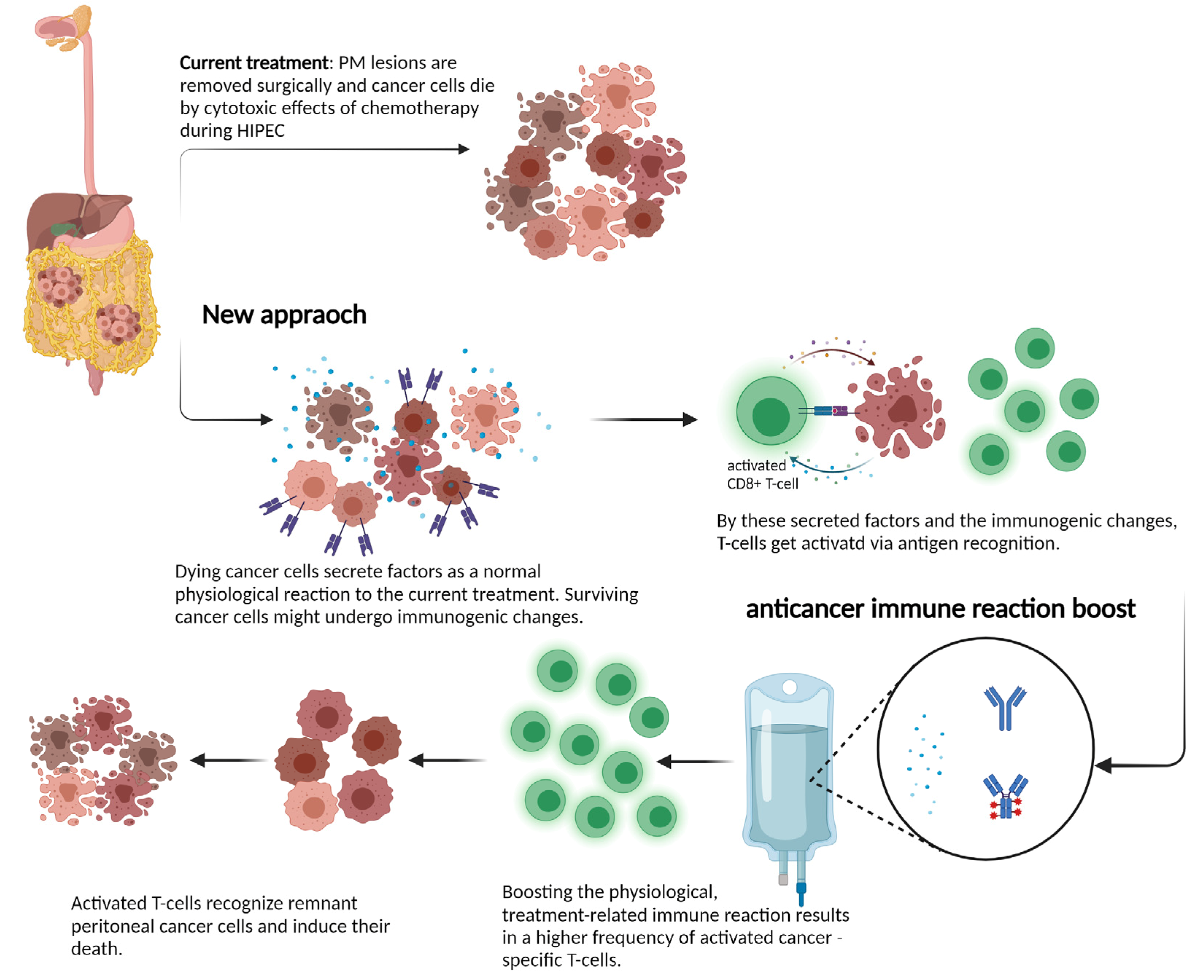 Cancers 14 00060 g001