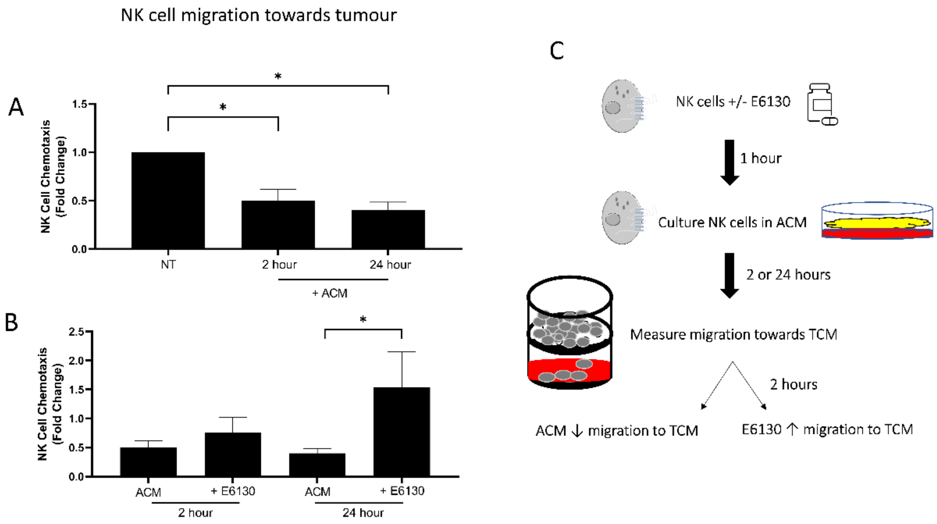 Cancers 14 00064 g002 Cancers 14 00064 g002