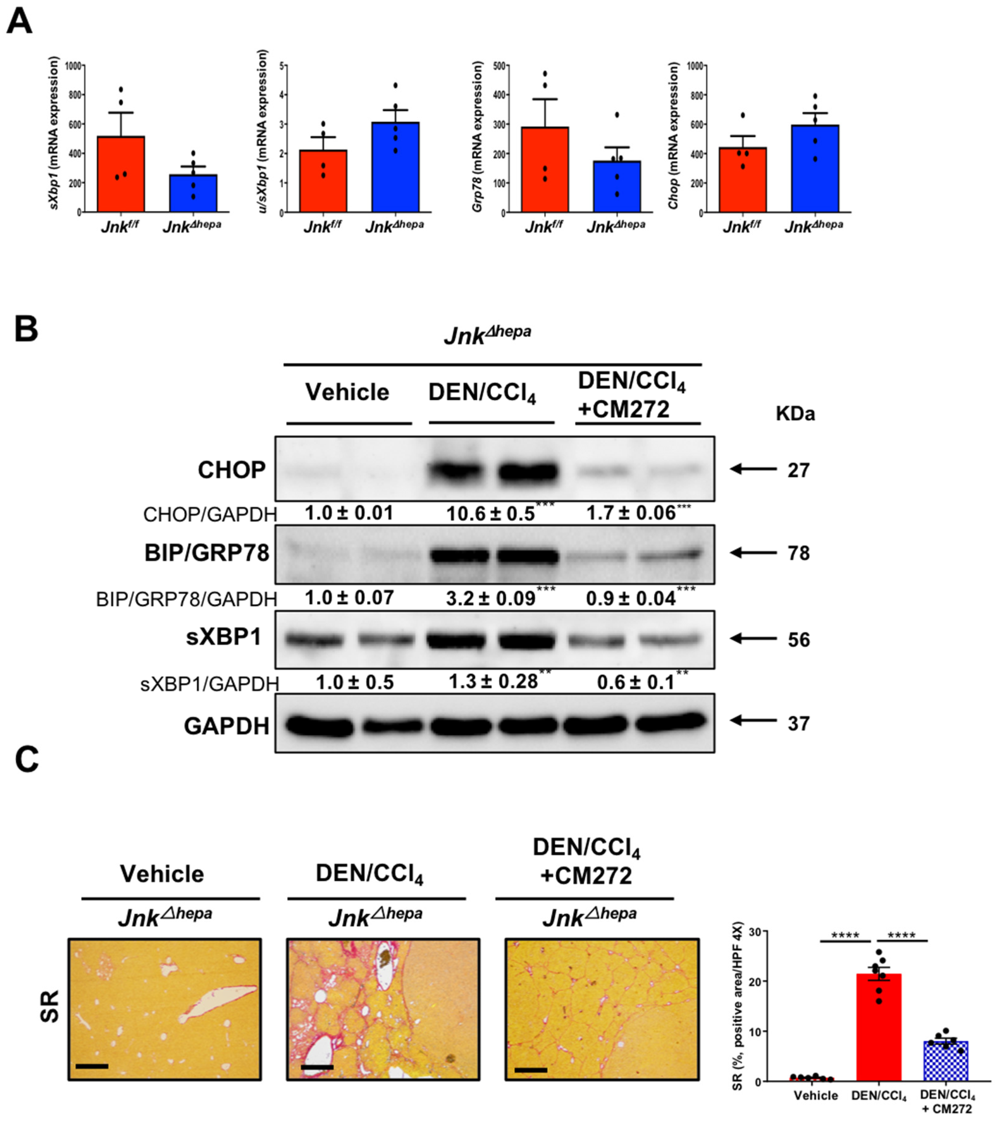 Cancers 14 00078 g009
