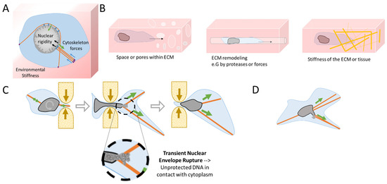 Cancers 14 00083 g002 550