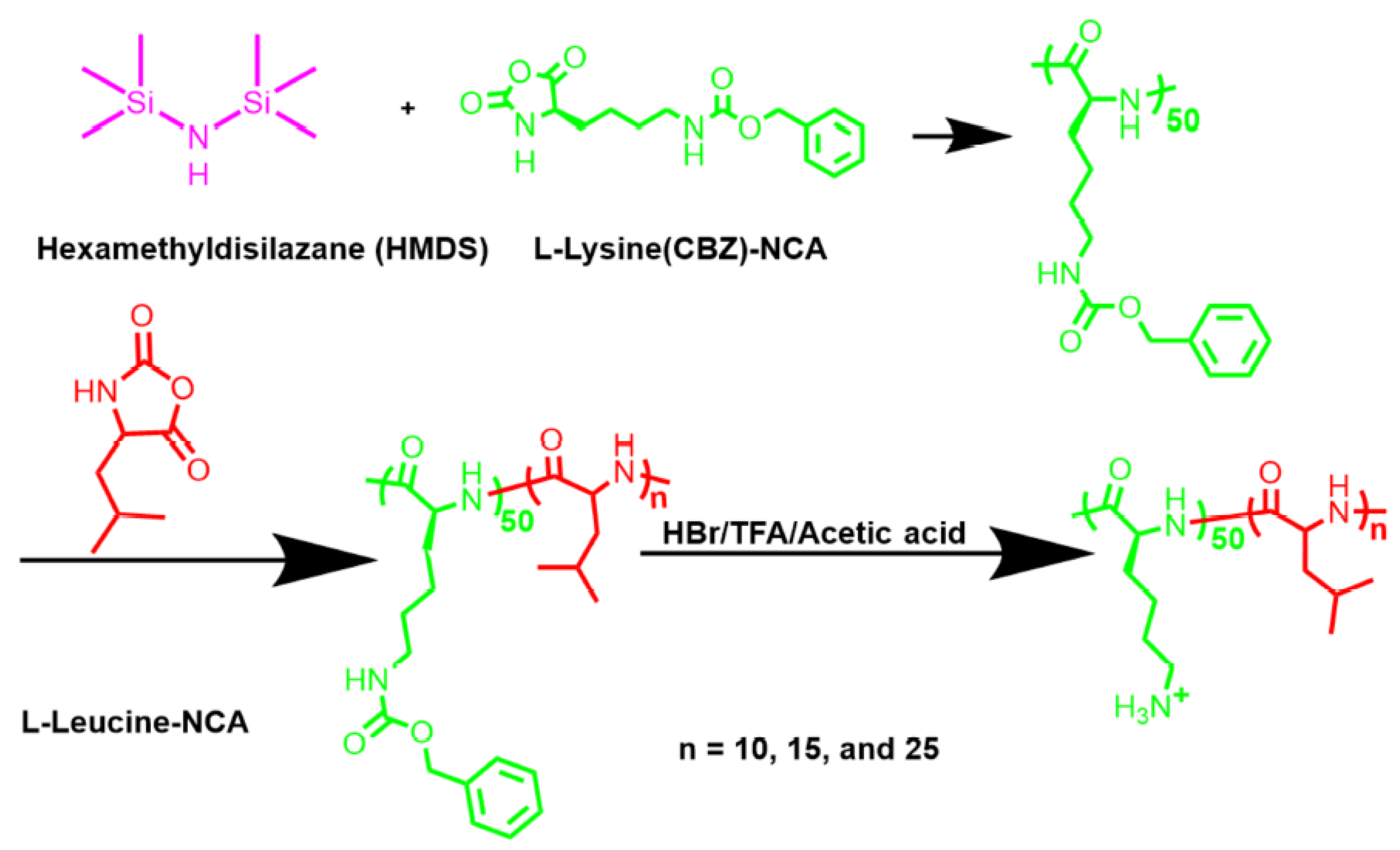 Cancers 14 00085 g002 Cancers 14 00085 g002