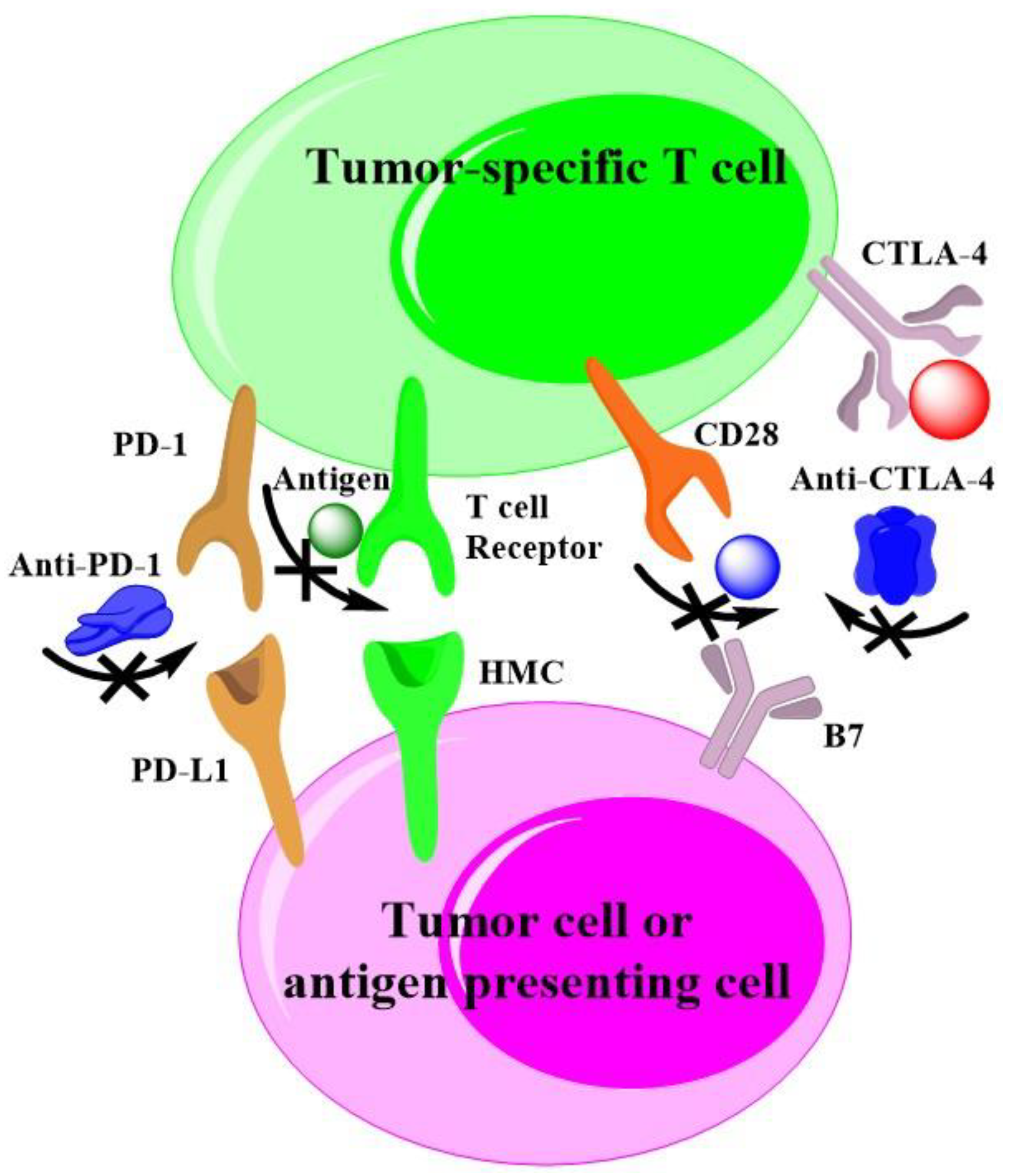 Cancers 14 00085 g003 Cancers 14 00085 g003